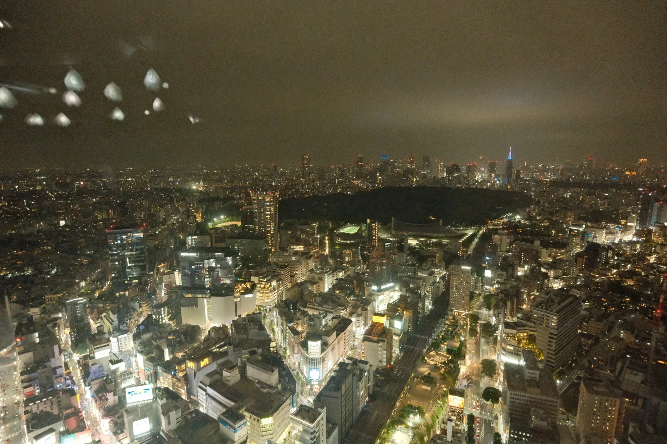 DSCF0127.JPG