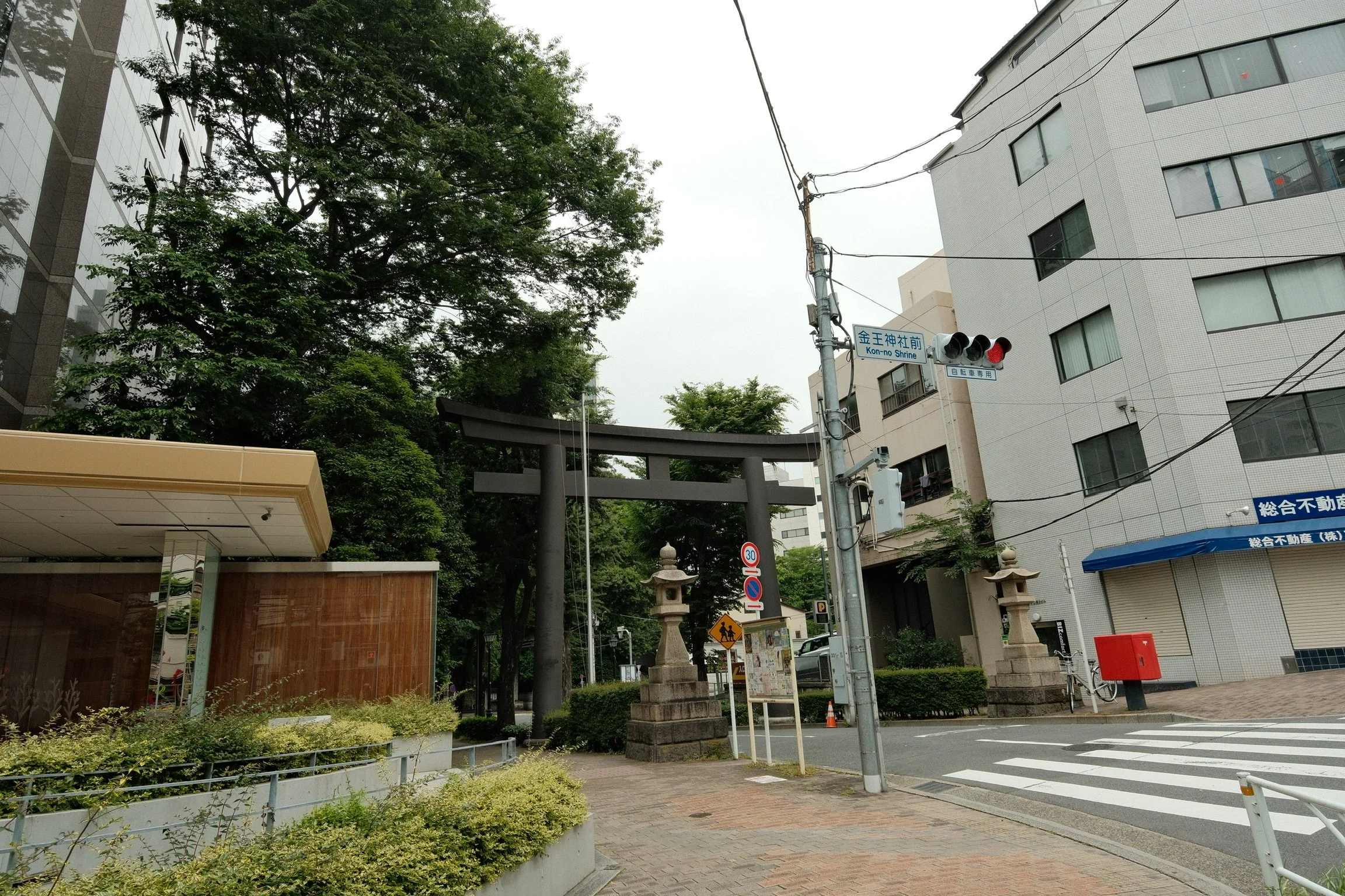 IMG_1149.jpeg