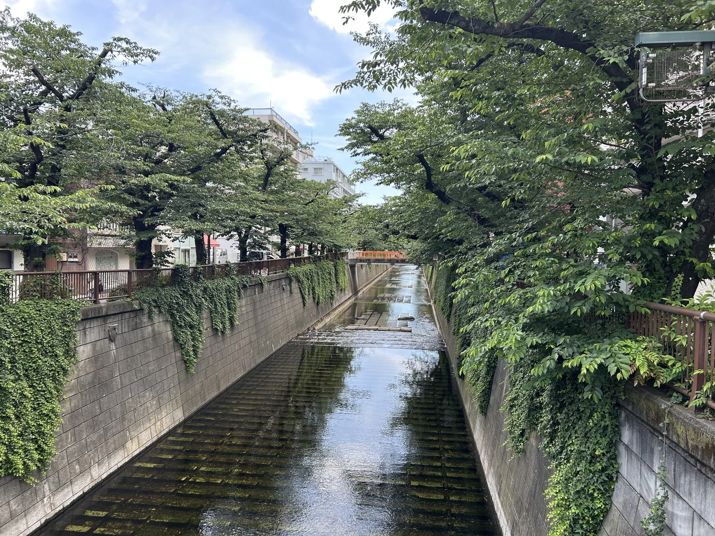 IMG_1019.jpeg