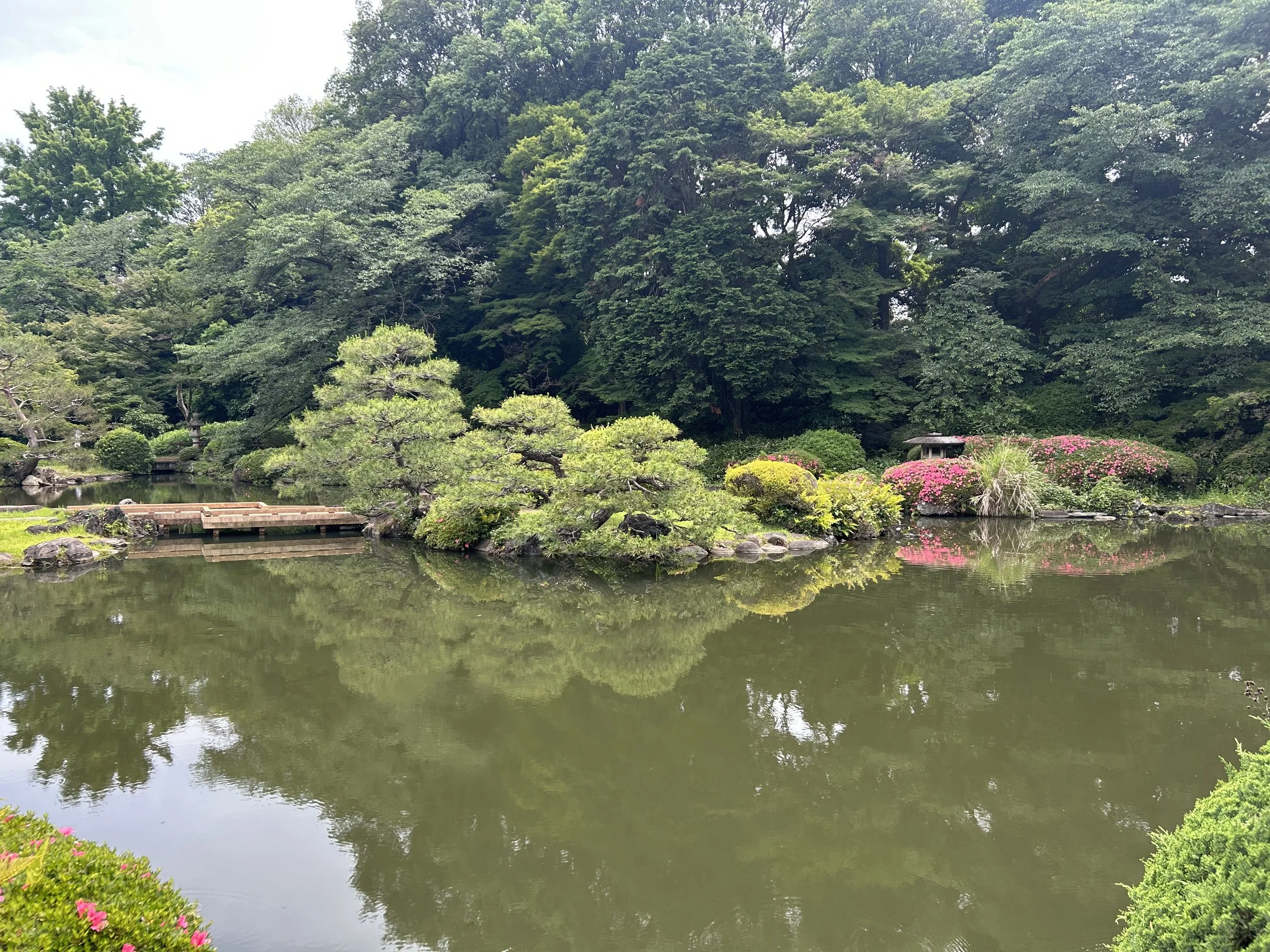 IMG_1081.jpeg