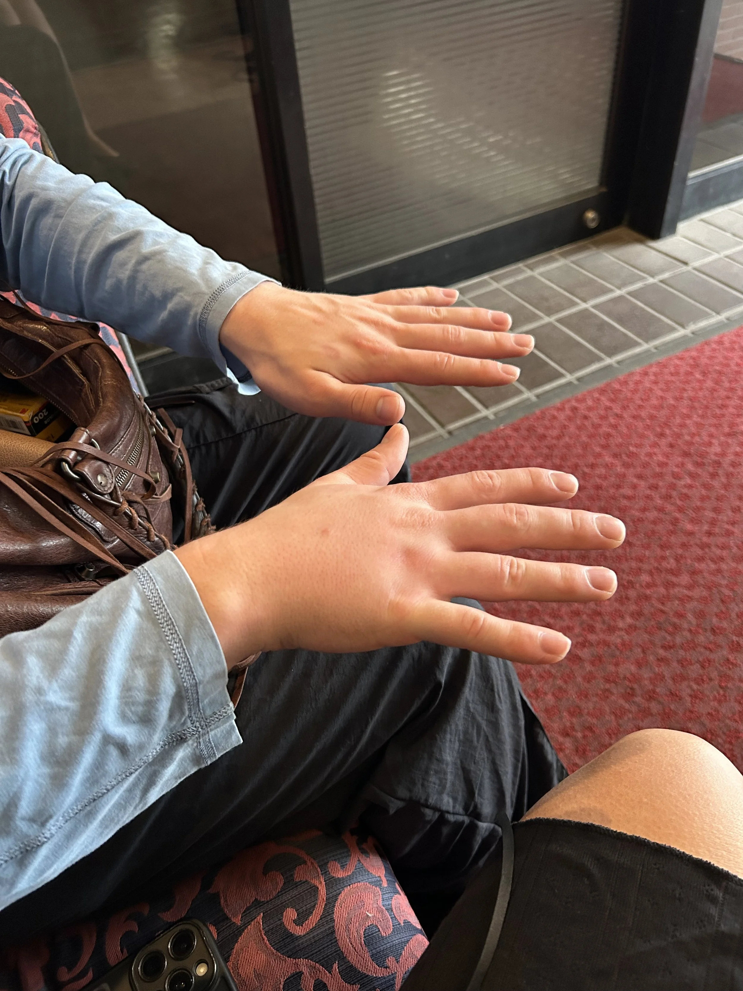 IMG_1133.jpeg