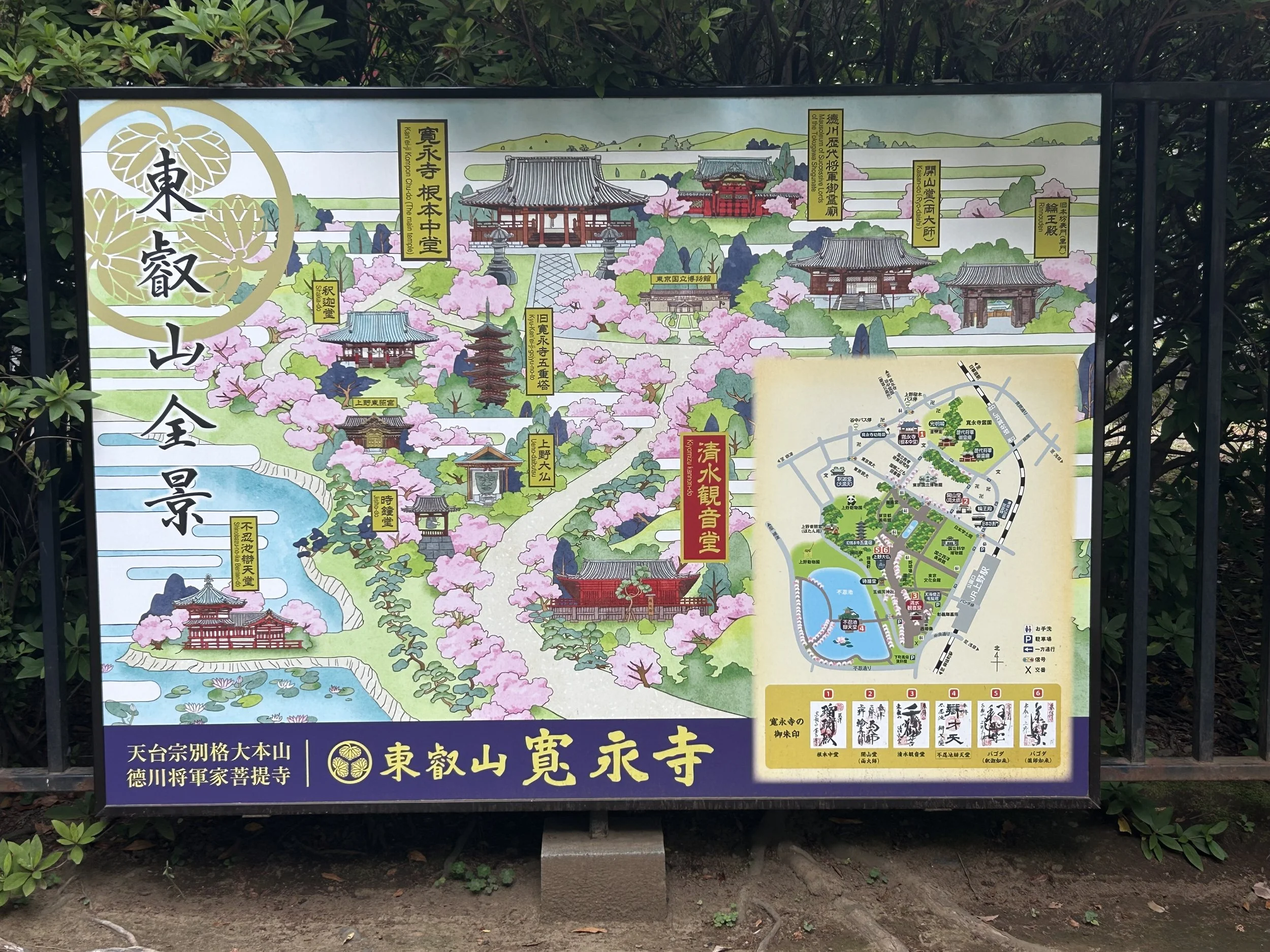 IMG_1185 4.jpeg