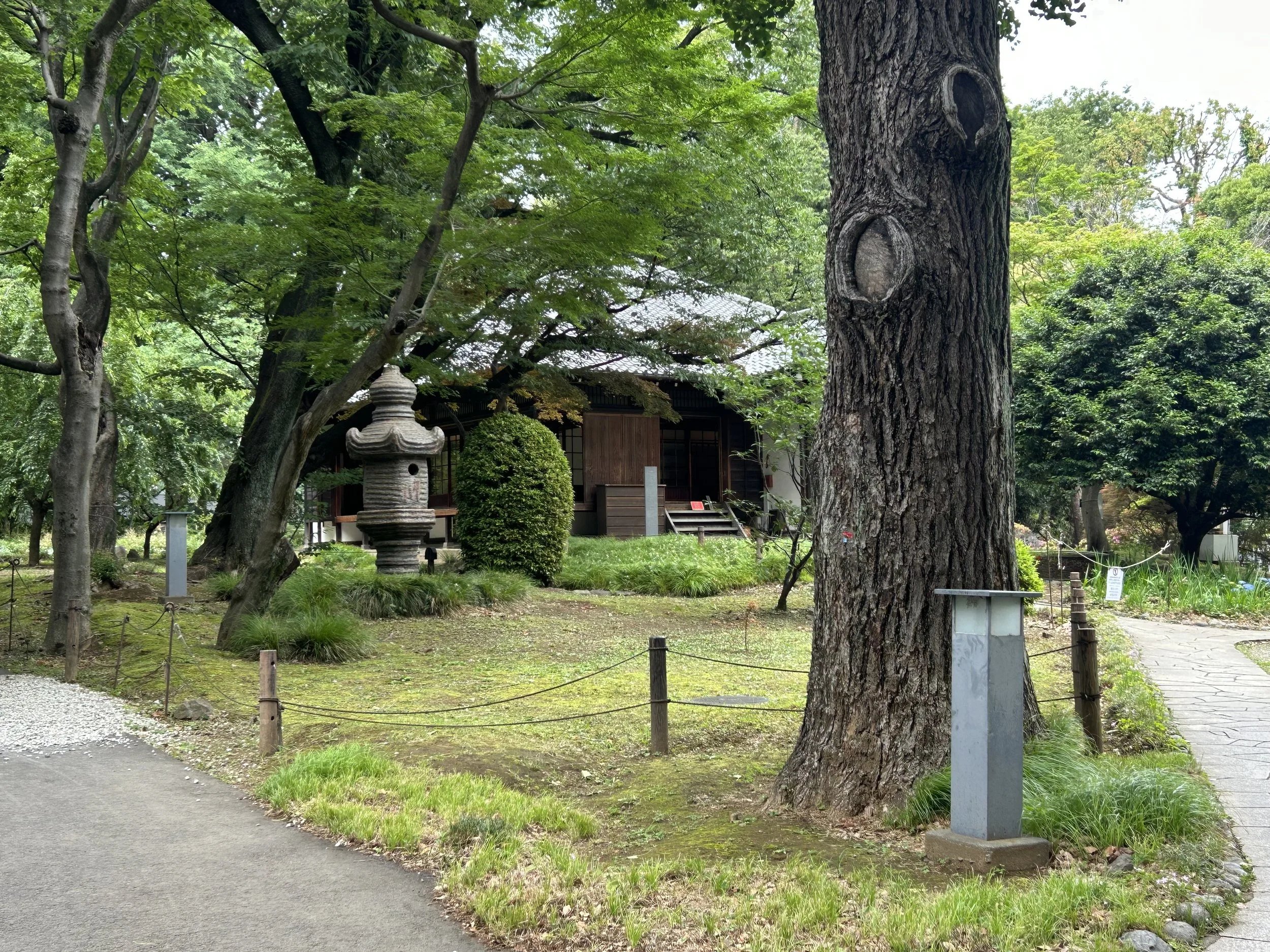 IMG_1241.jpeg