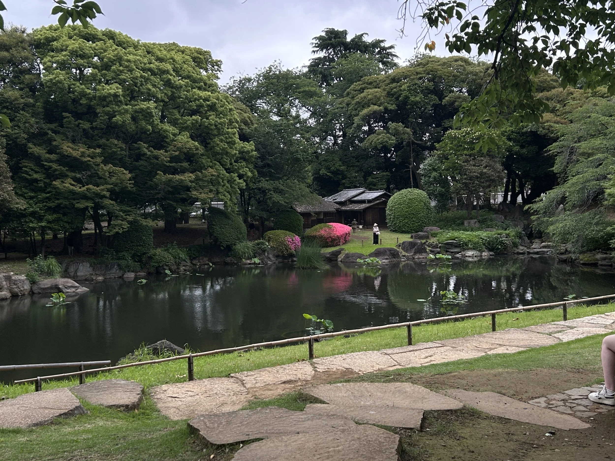IMG_1237.jpeg
