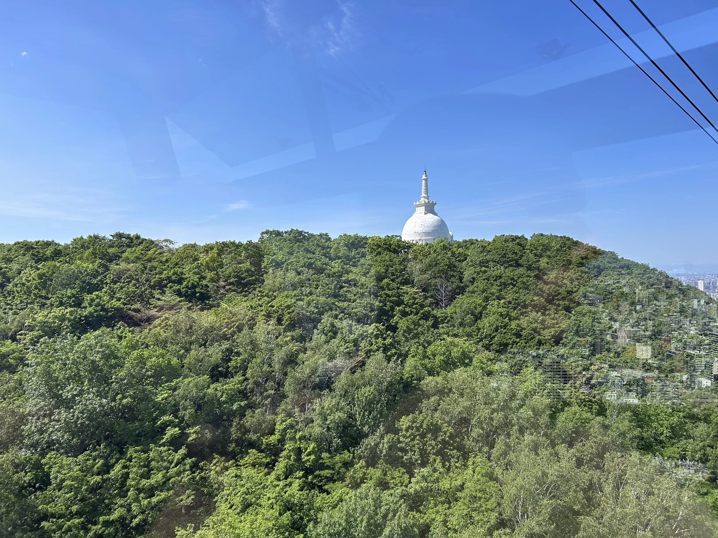 IMG_1584.jpeg