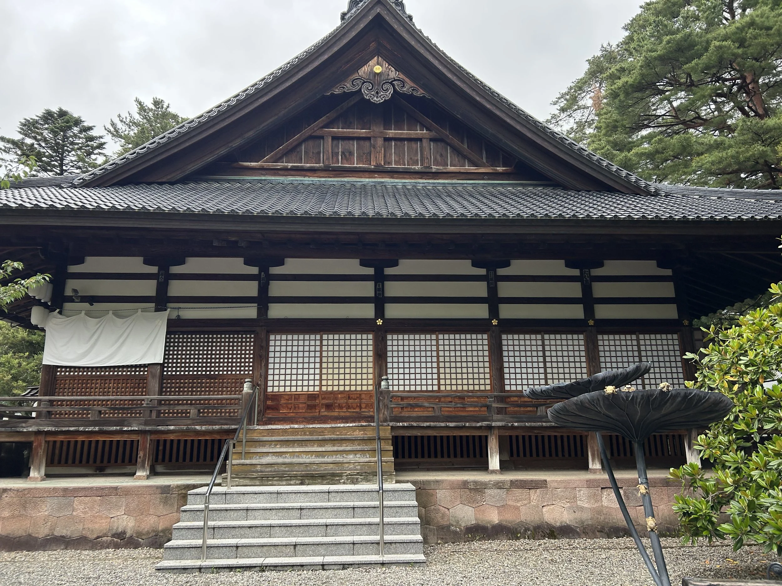 IMG_1669.jpeg