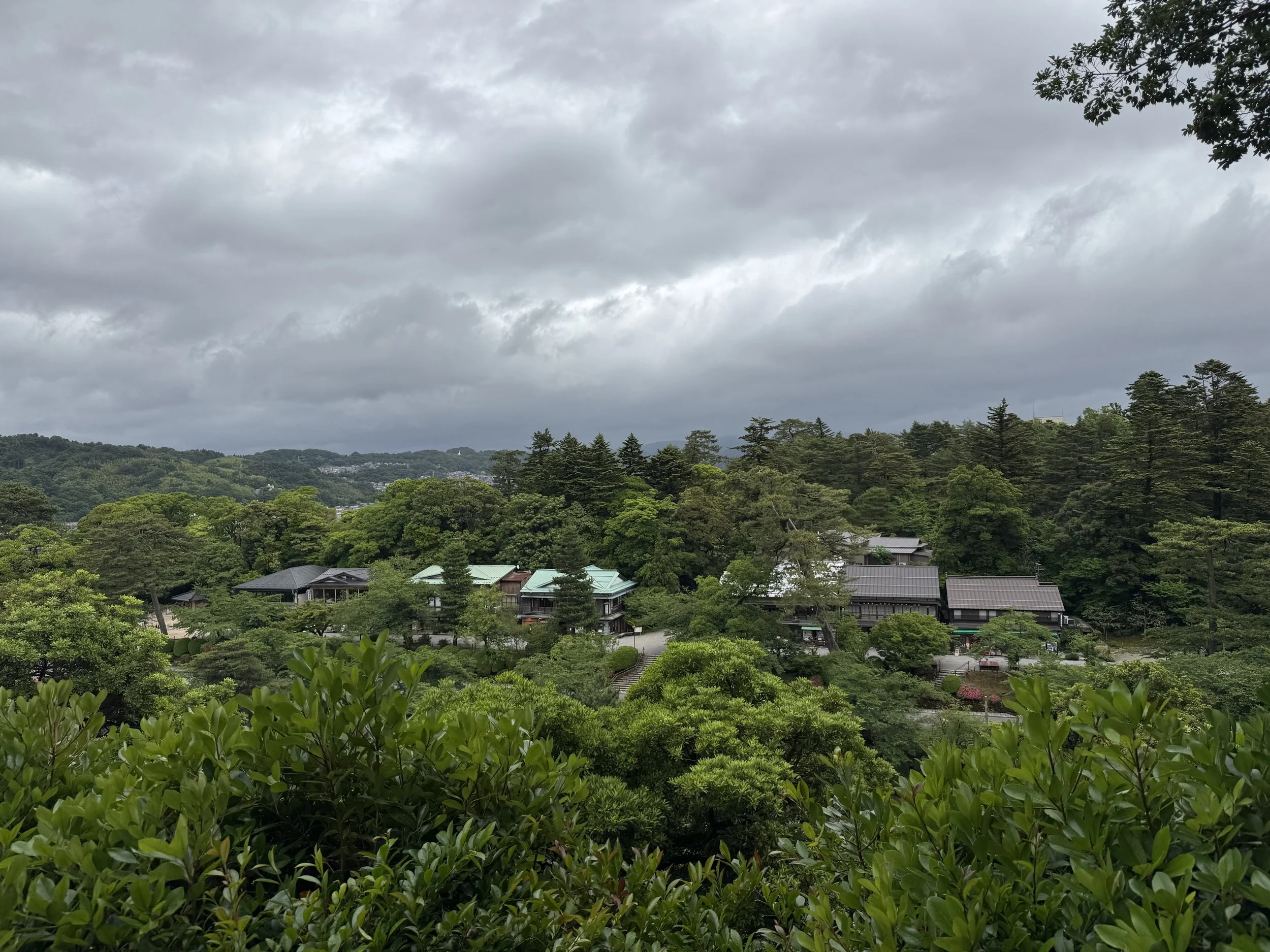 IMG_2308 2.jpeg