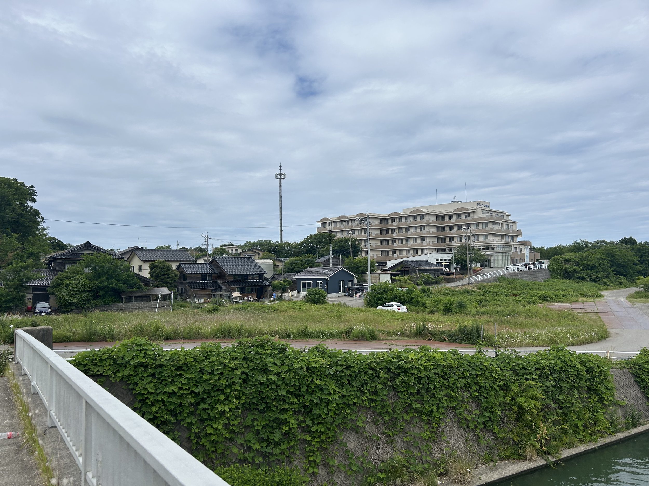 IMG_1799.jpeg