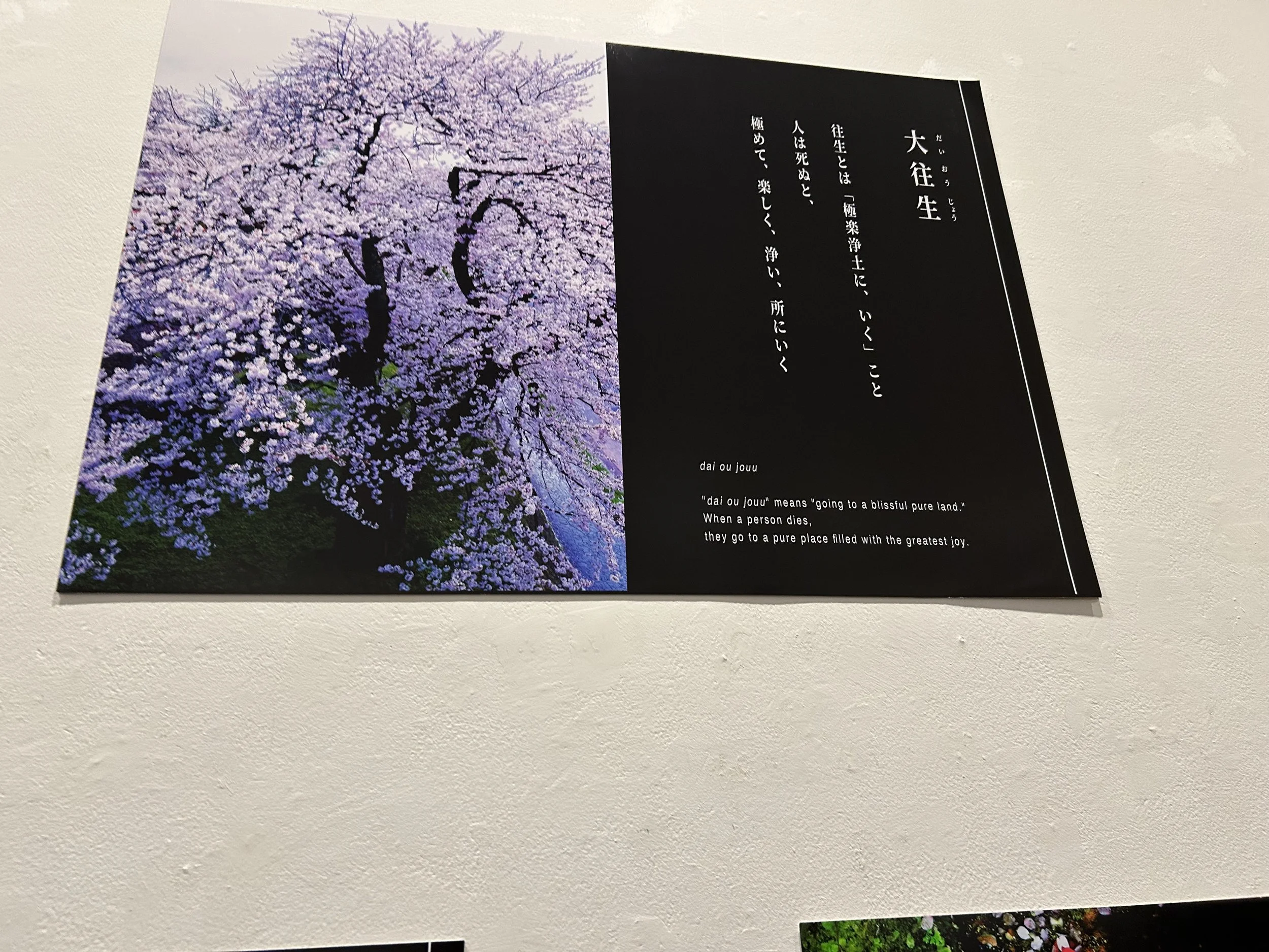 IMG_1843 3.jpeg