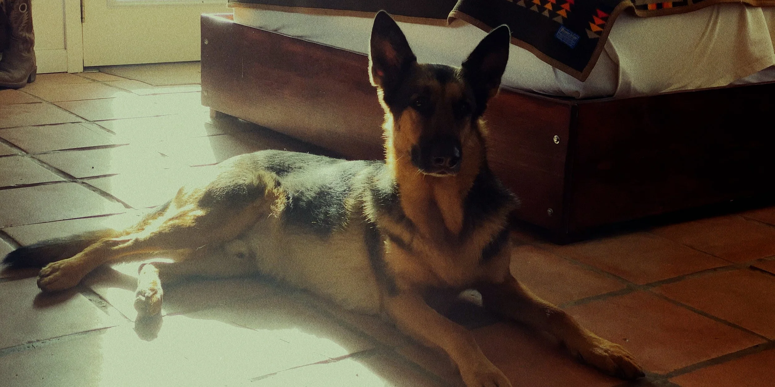 FINAL TIMELINE full color.00_07_04_03.Still032.jpg