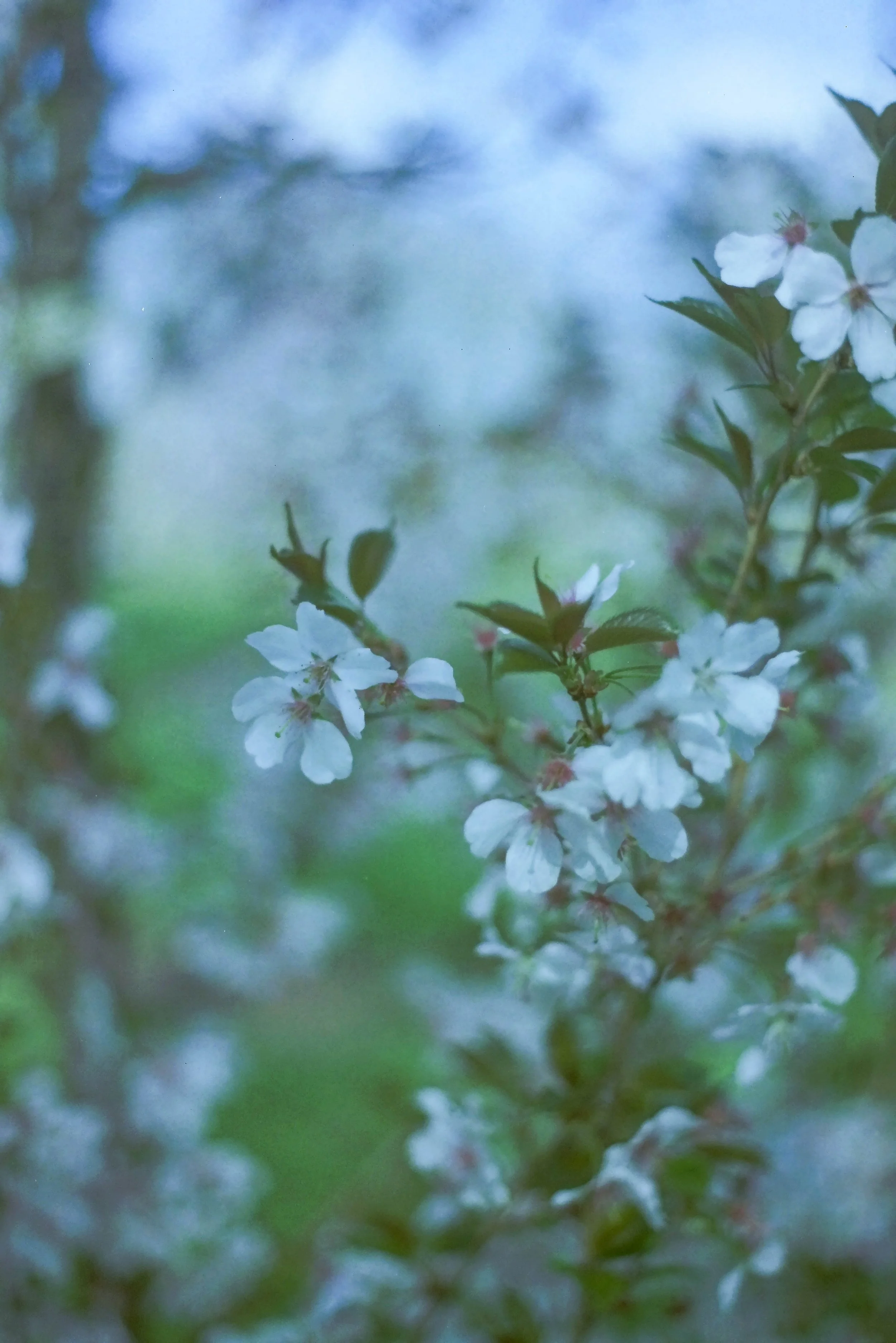 IMAG0630.jpg