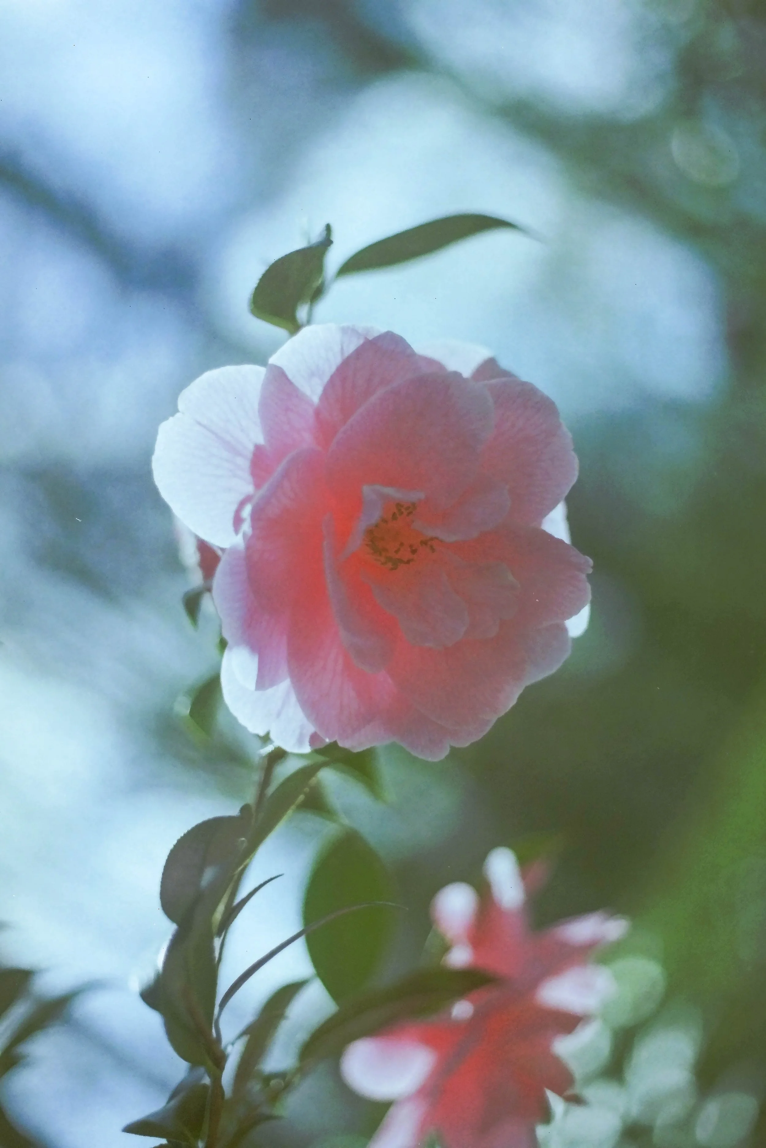 IMAG0636.jpg