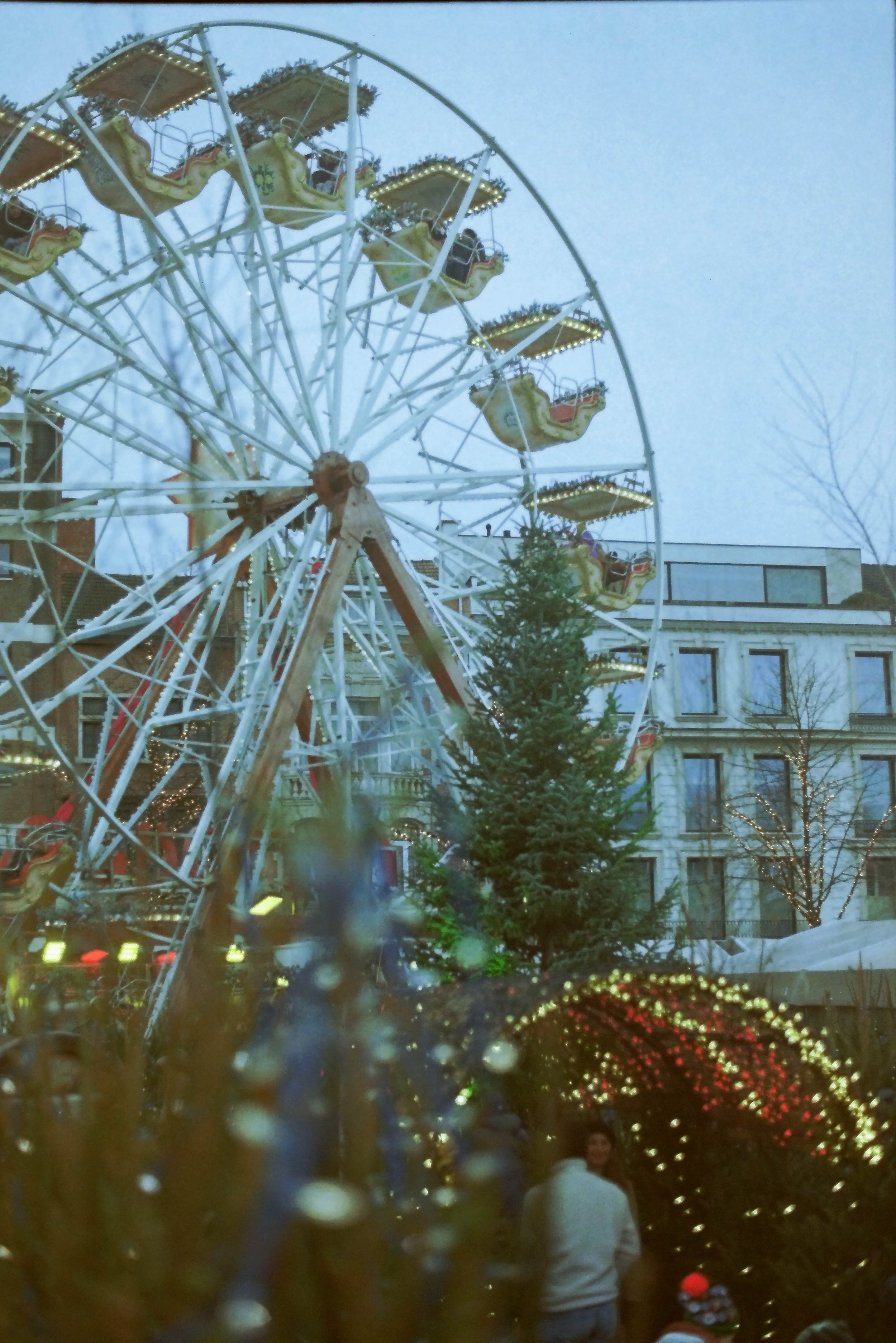 L_IMAG0037.jpg