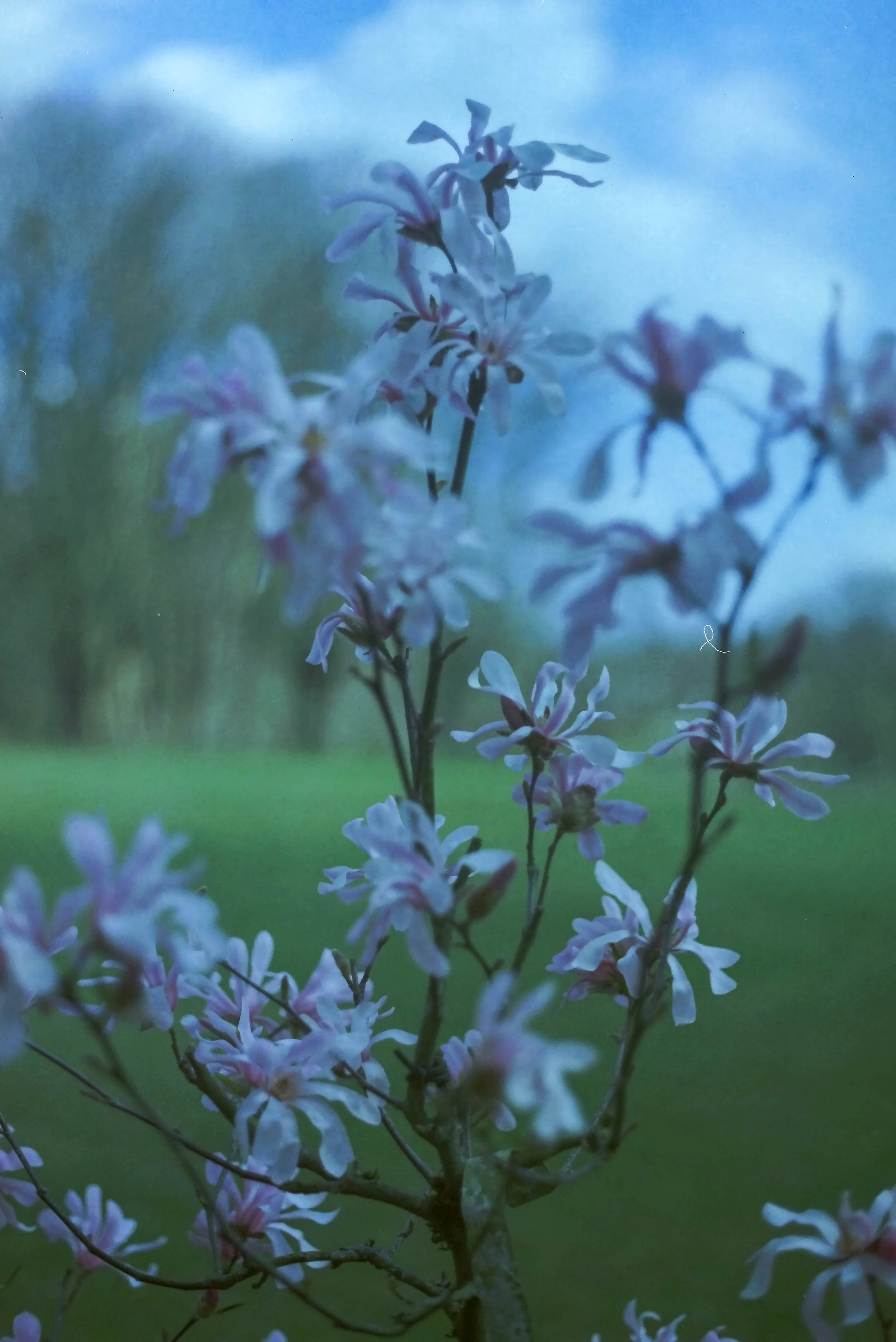 IMAG0634.jpg
