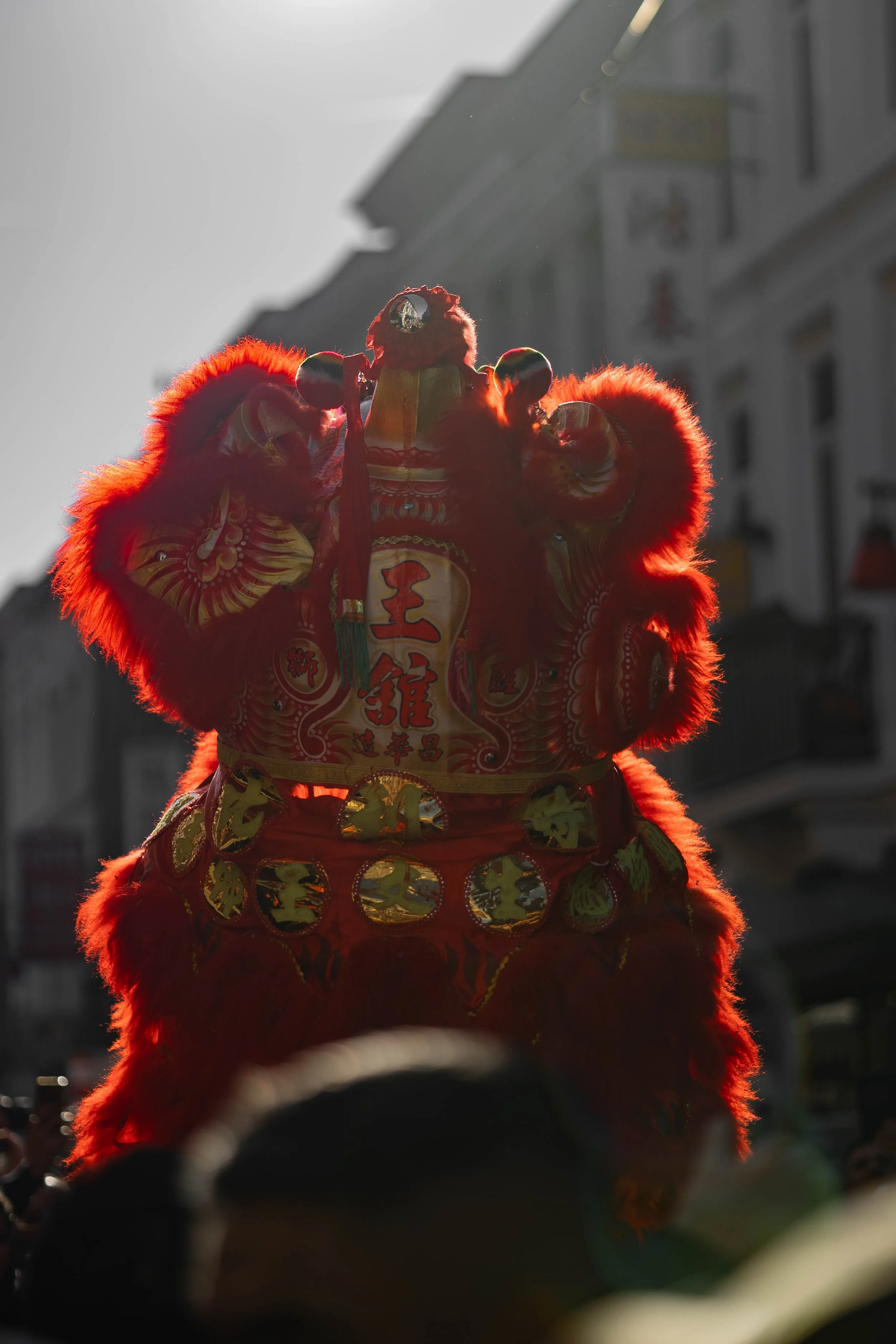 IMG_1644.jpg