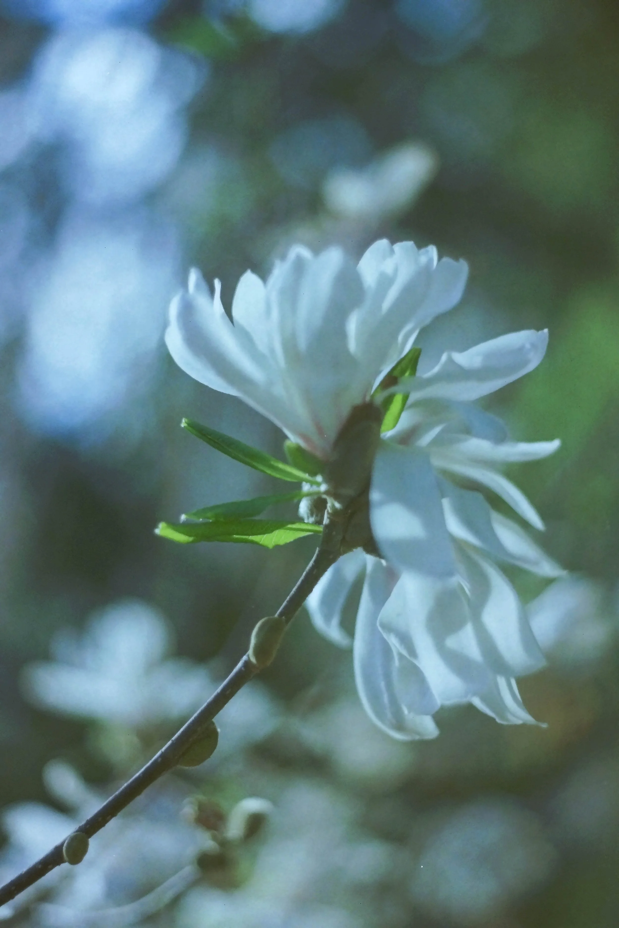 IMAG0635.jpg