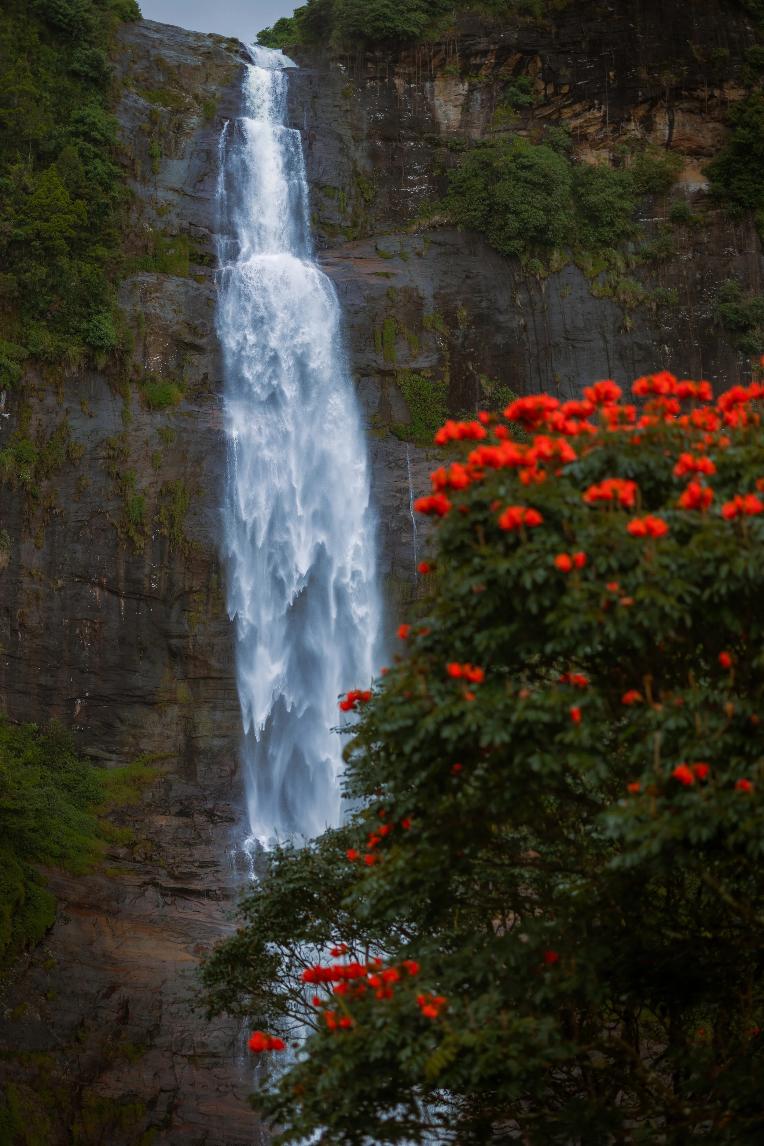 Ceylon Falls