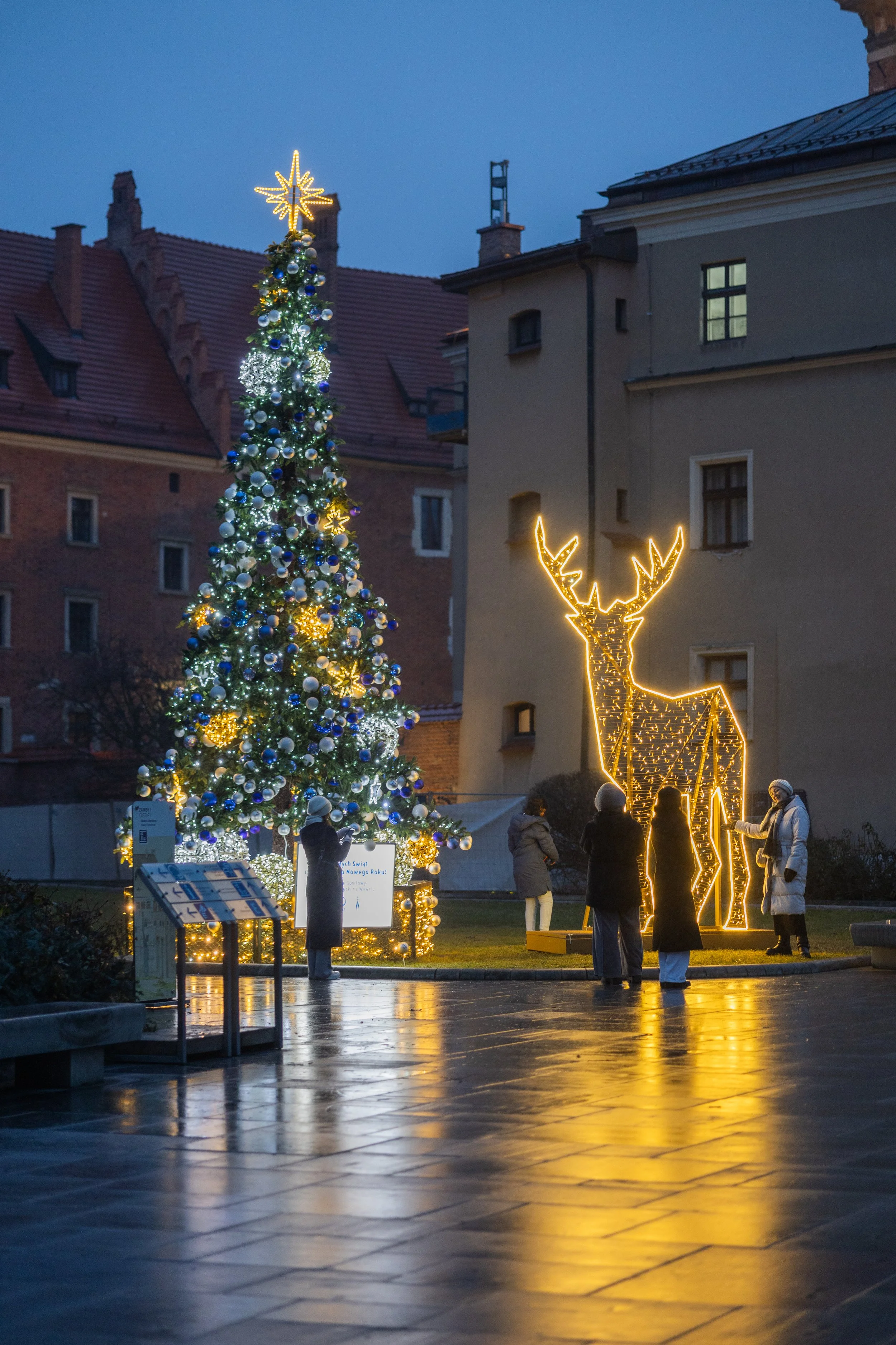 Winter Lights Kraków