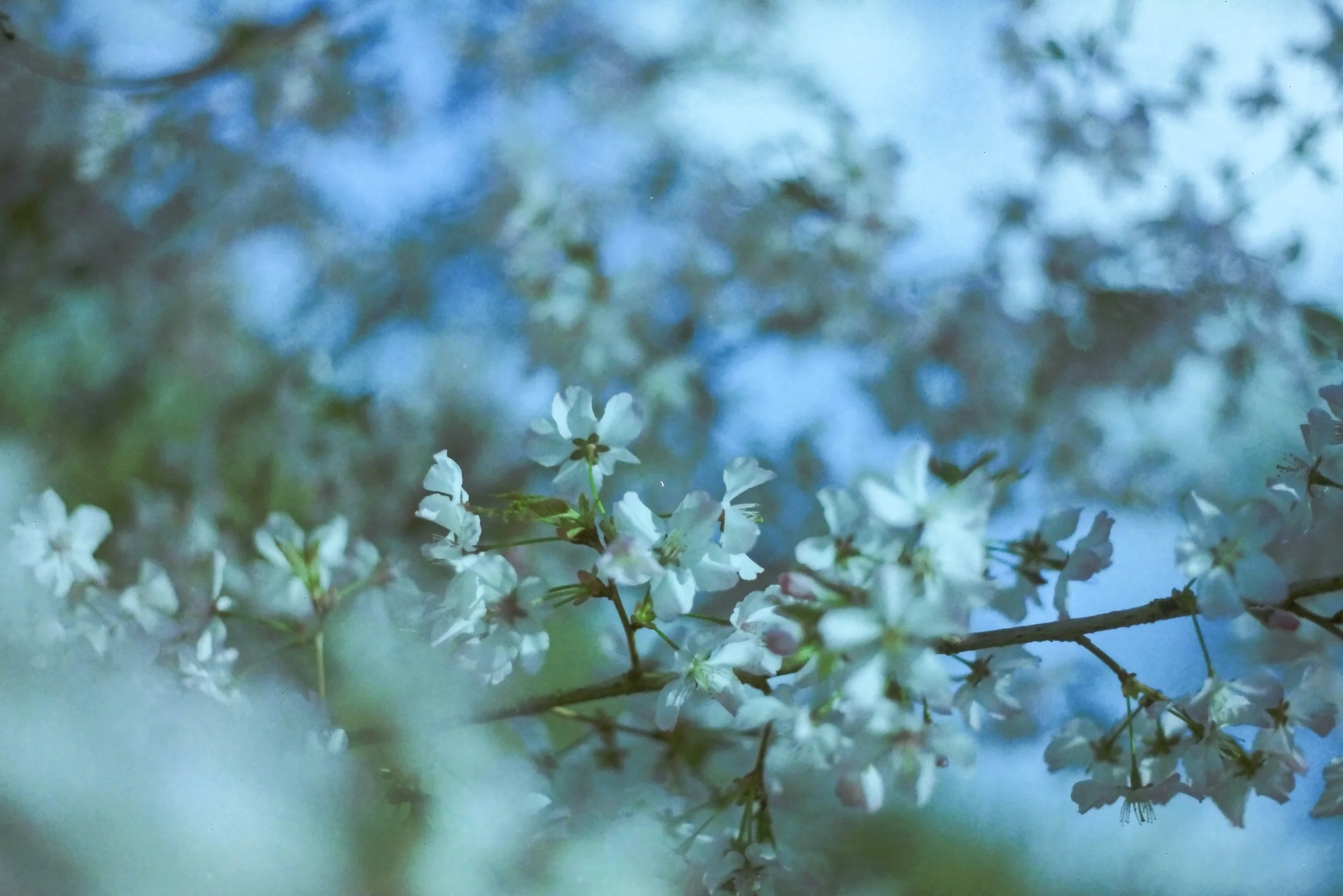 IMAG0631.jpg