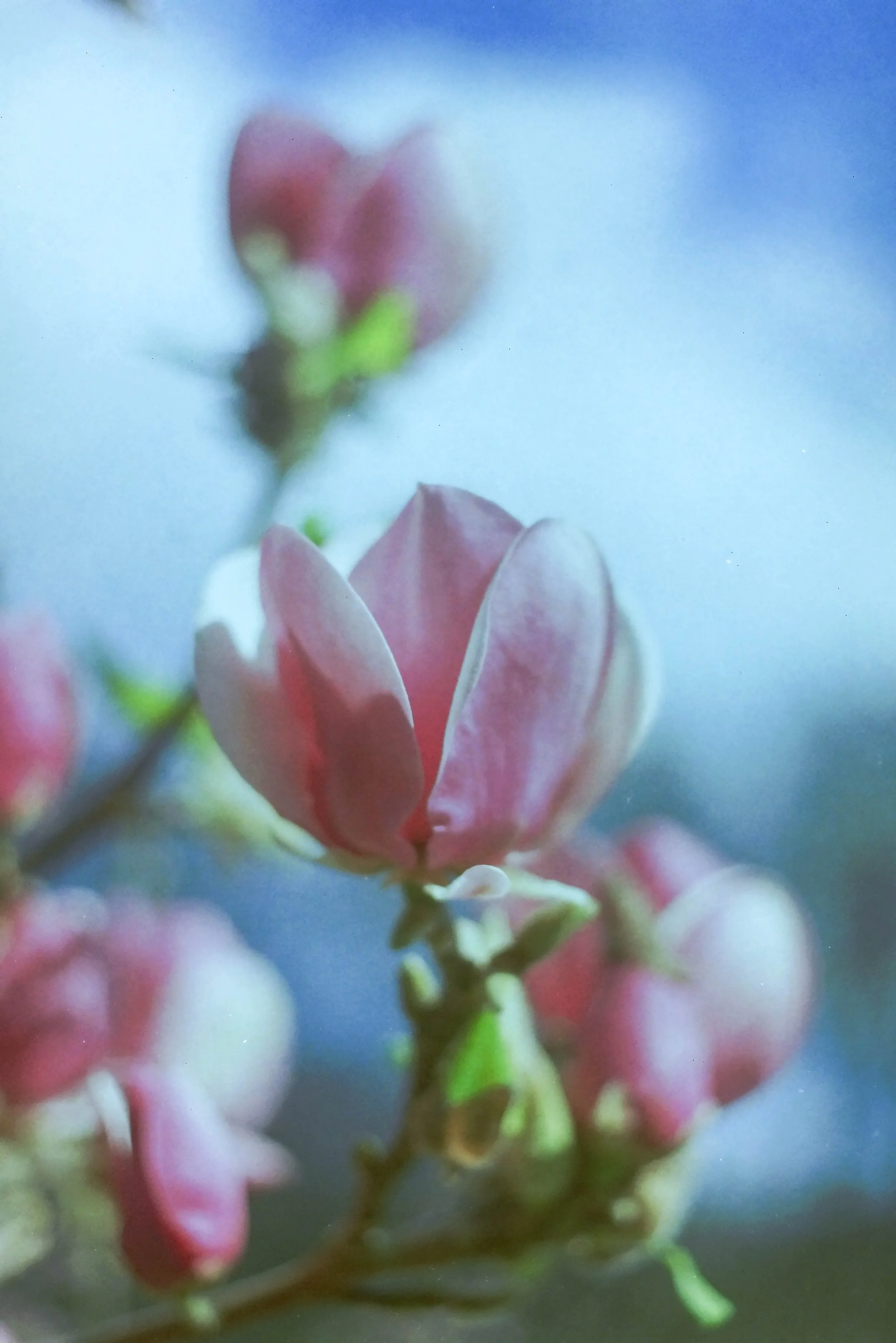 IMAG0633.jpg