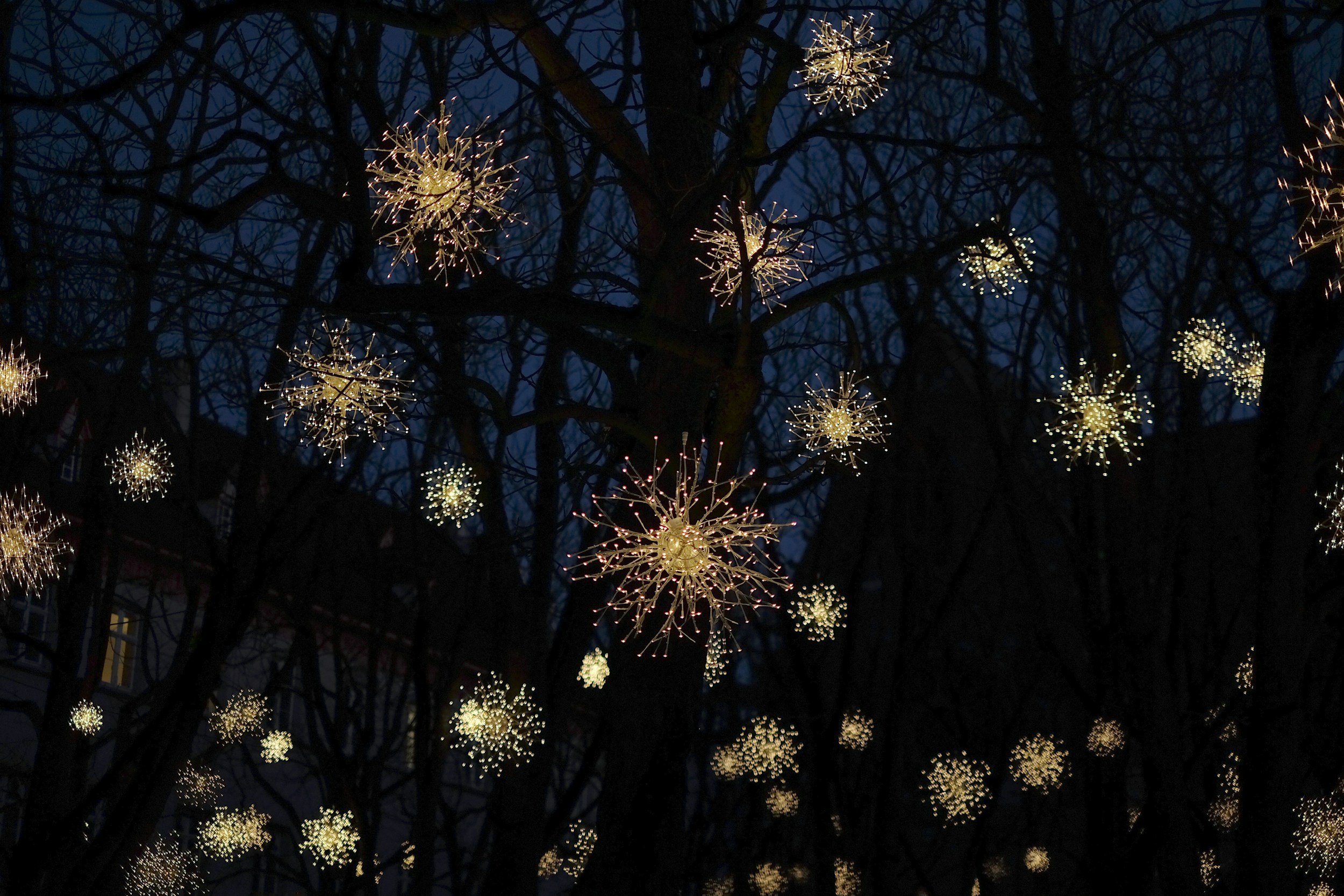 A Happy Light in the Lonely Dark (Luke 2:8-20)