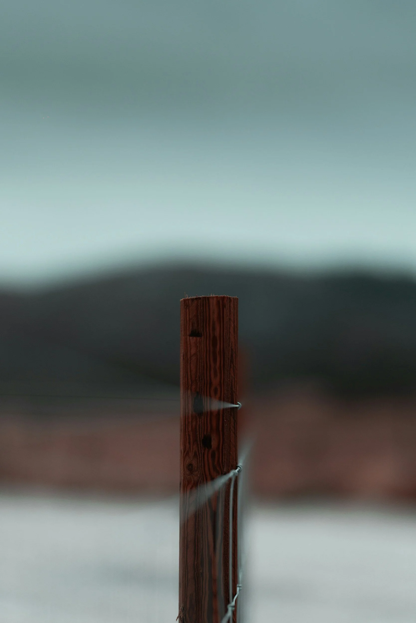 God’s Plumb Line in Amos 7: Sermon