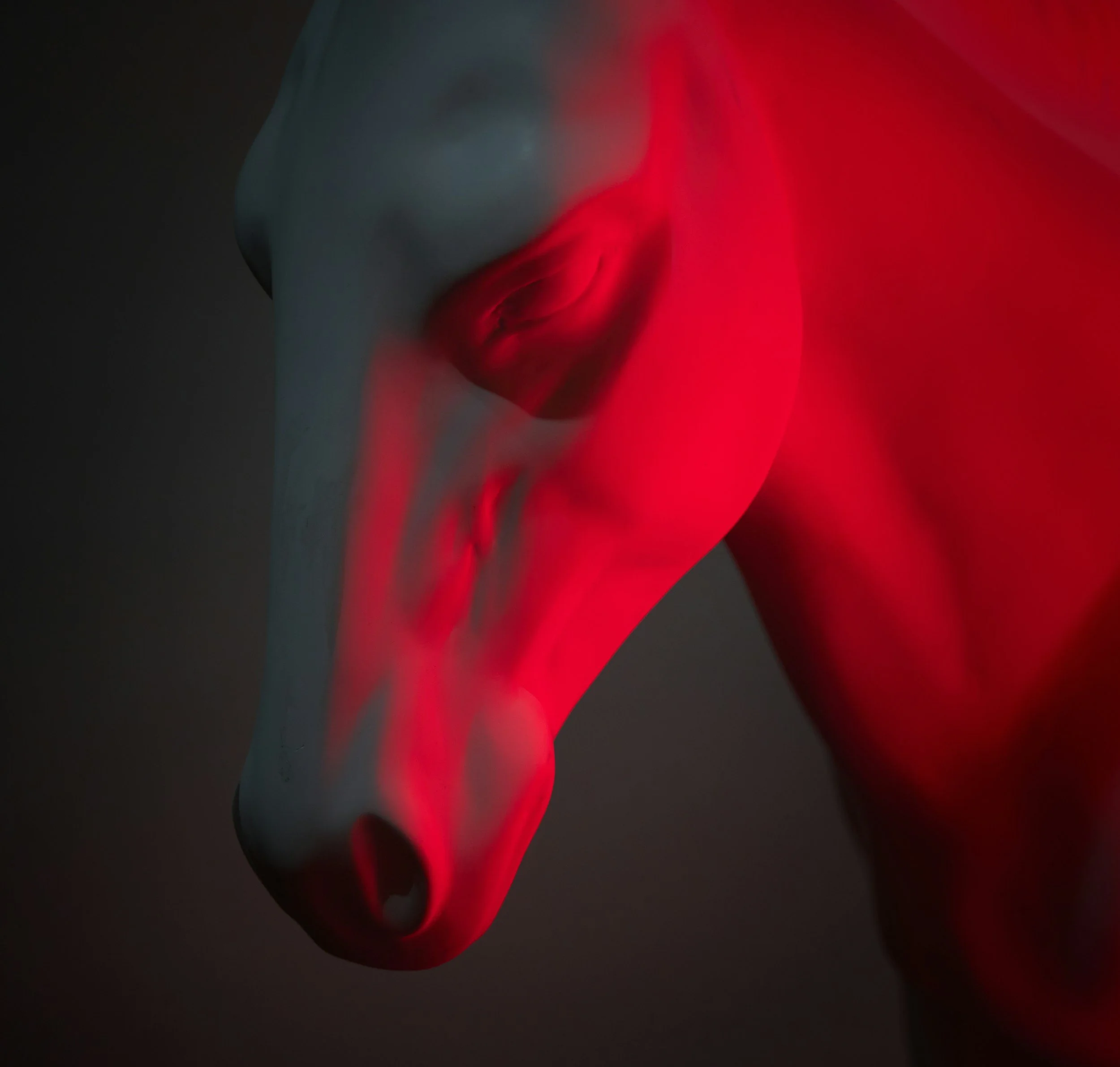 Red Horse of the Apocalypse: War and Violence in Scripture