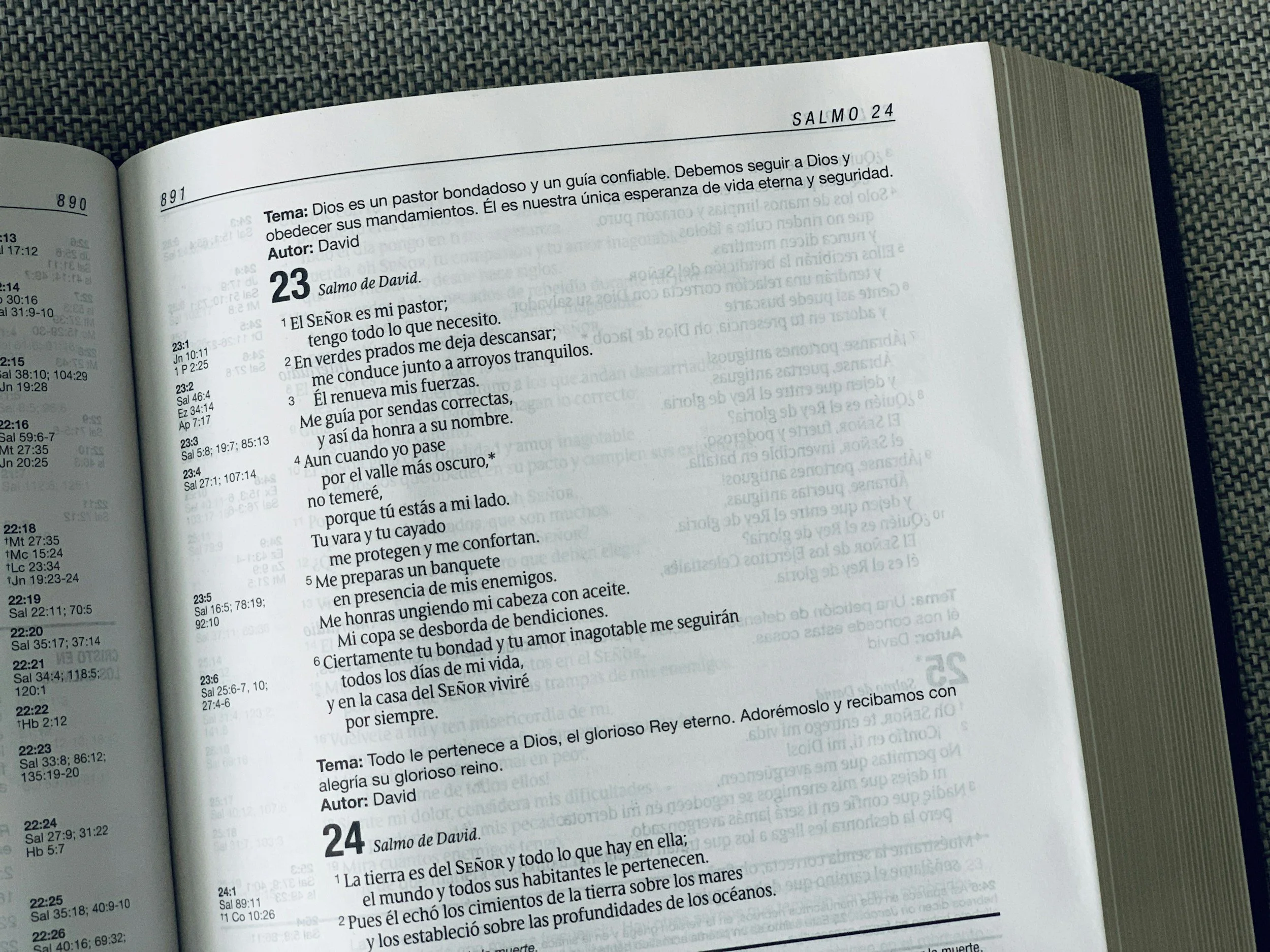 Psalm 23 Night Prayer: The Lord Is My Shepherd