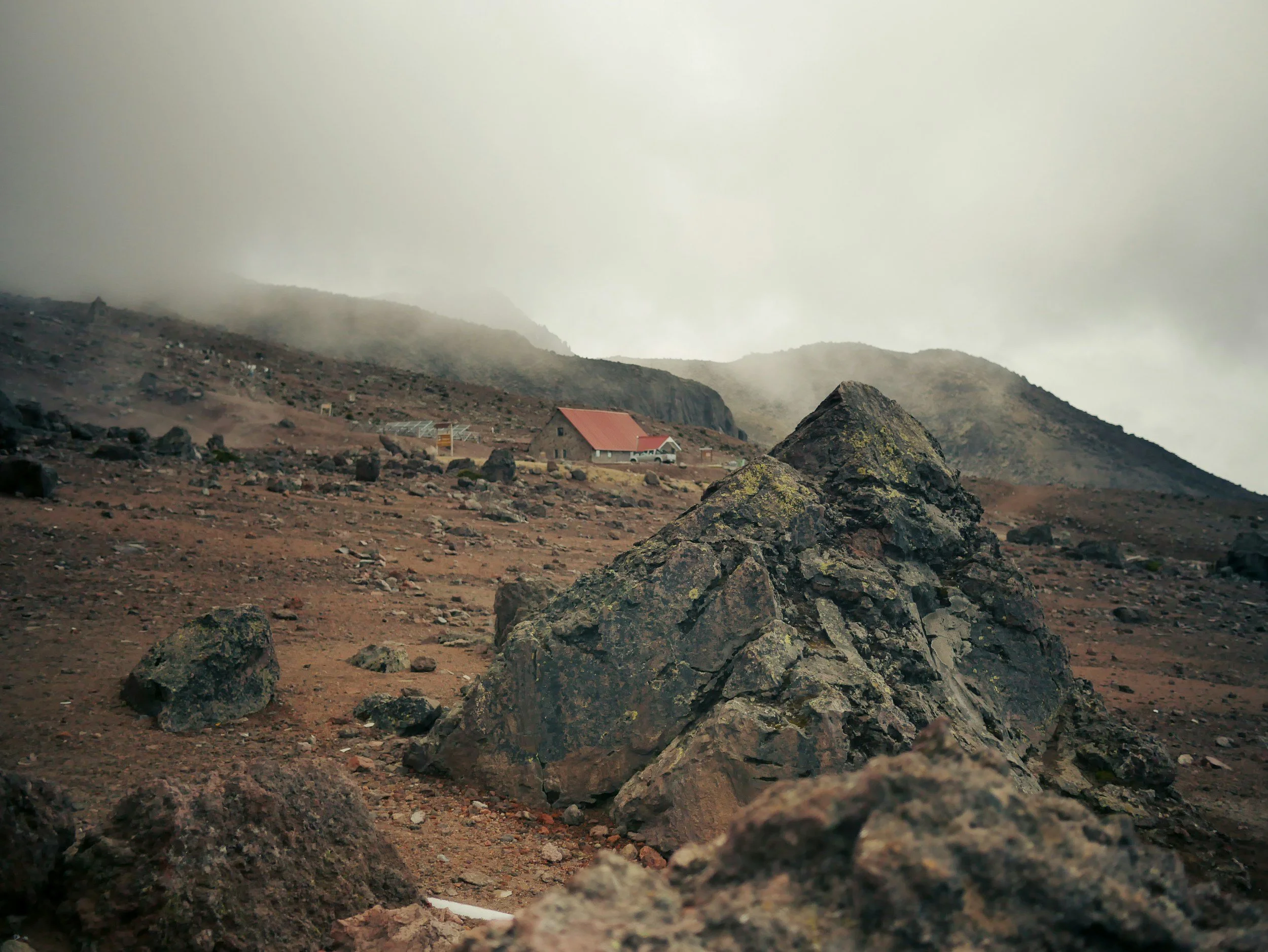 Psalm 91 Night Prayer: Rest in the Shadow of the Almighty