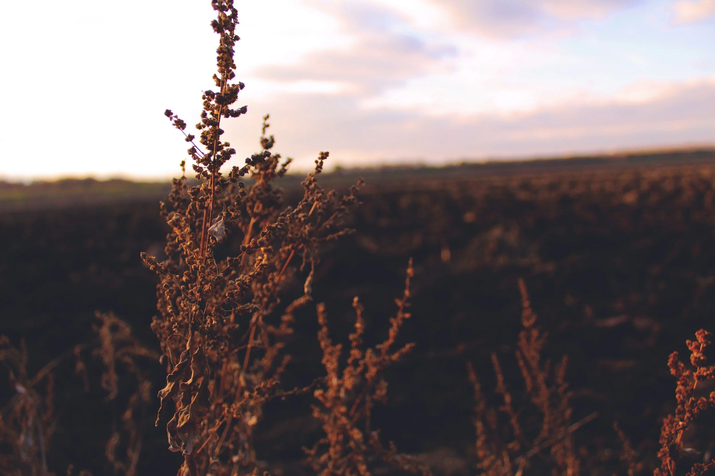 Night Prayer for Autumn Evenings