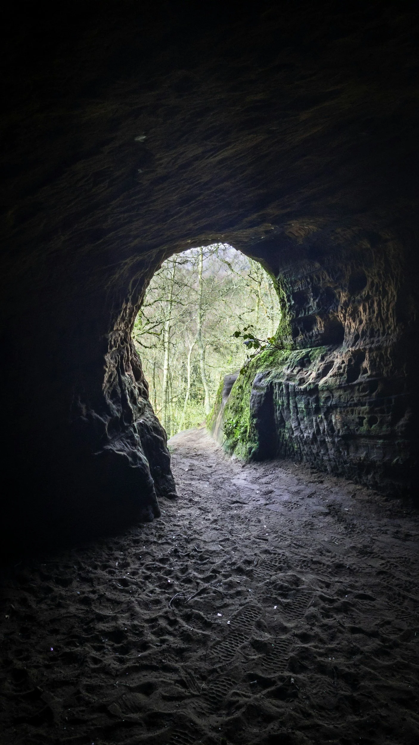 Lazarus in the Bible: Raised from the Dead in John 11
