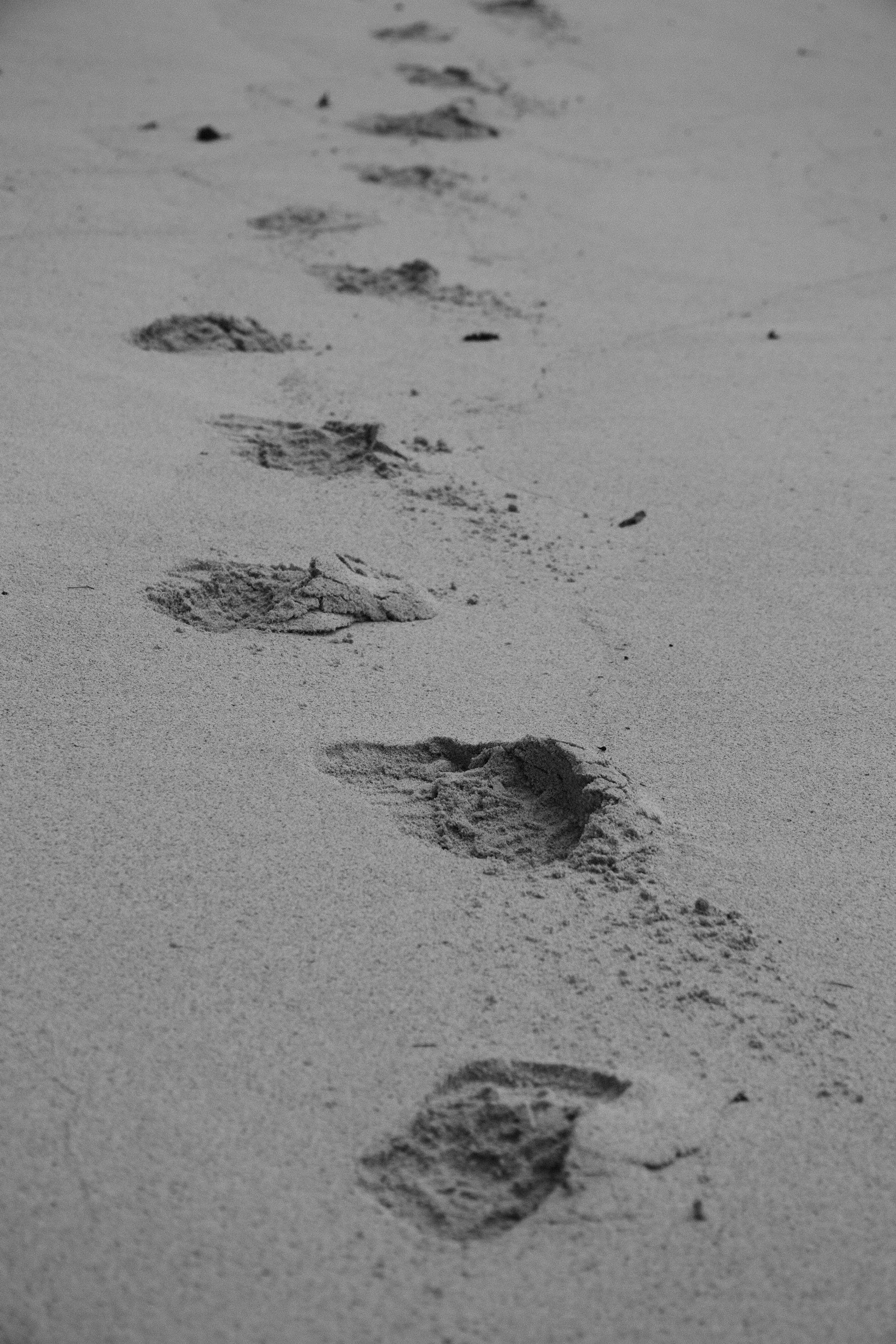 John 1:35-42 – The First Disciples Follow Jesus