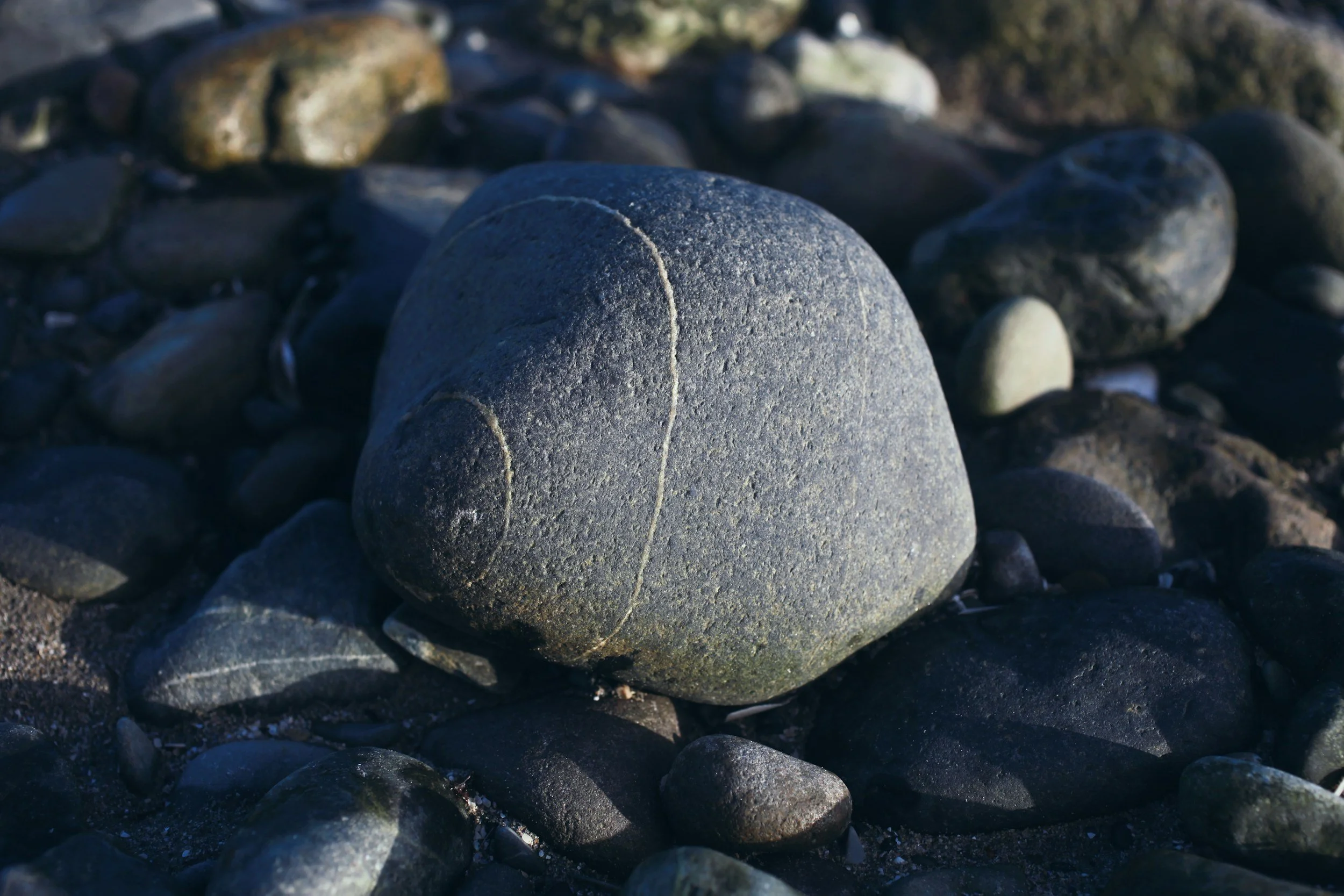 Let Him Who Is Without Sin Cast the First Stone (John 8:7) 