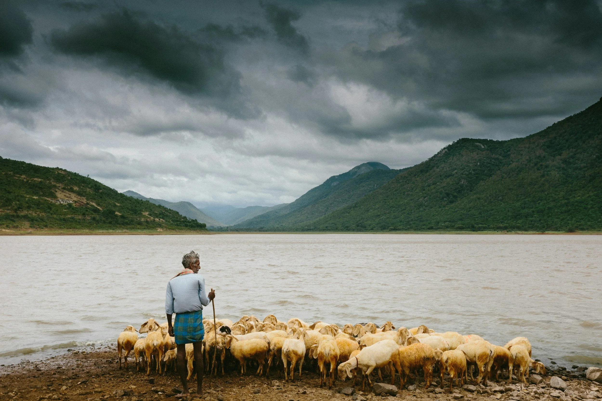 John 10:11 – The Good Shepherd Lays Down His Life