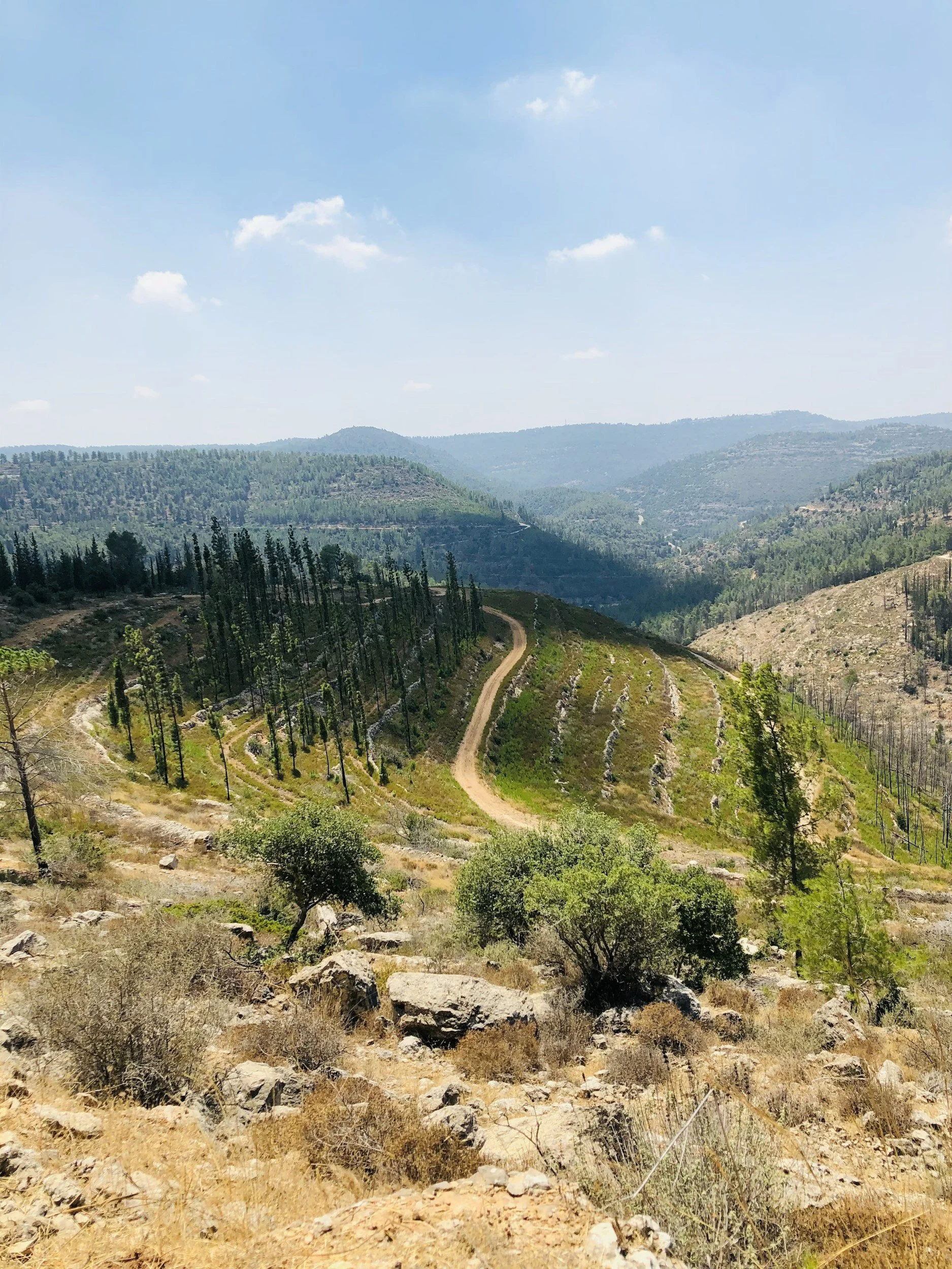 John 18:1-11 – Jesus Arrested