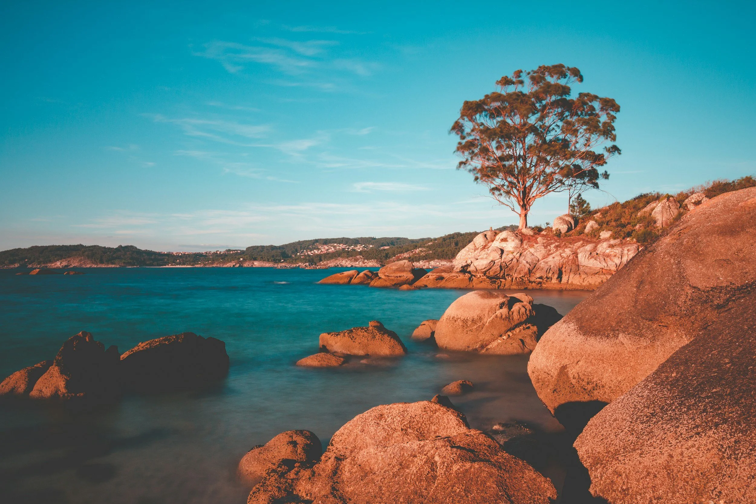 Morning Prayer for Guidance and Wisdom – Proverbs 3:5–6