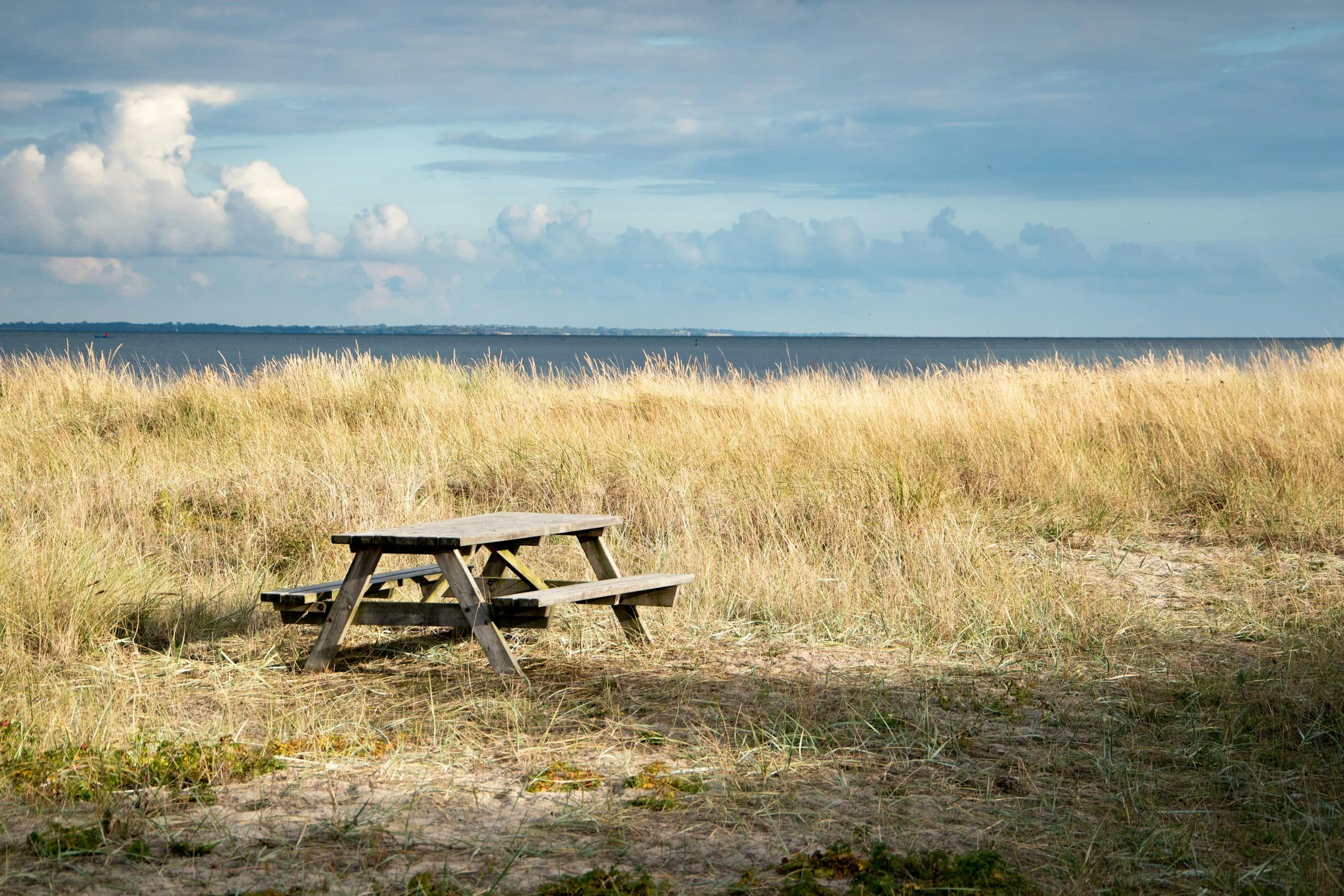 Prayer for the Day: Rest in God’s Righteousness – Psalm 4