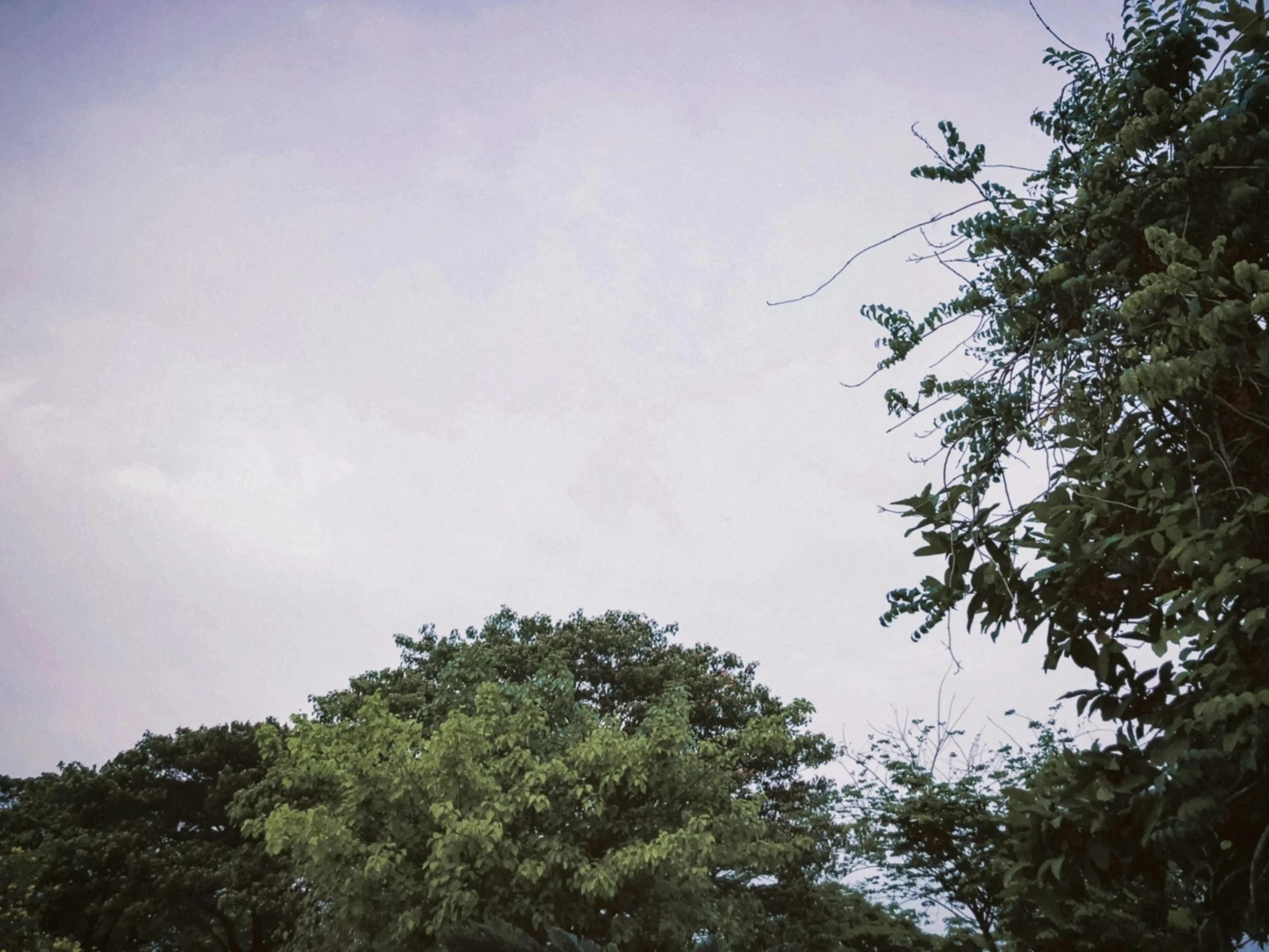 Prayer for the Day: Friday Devotion