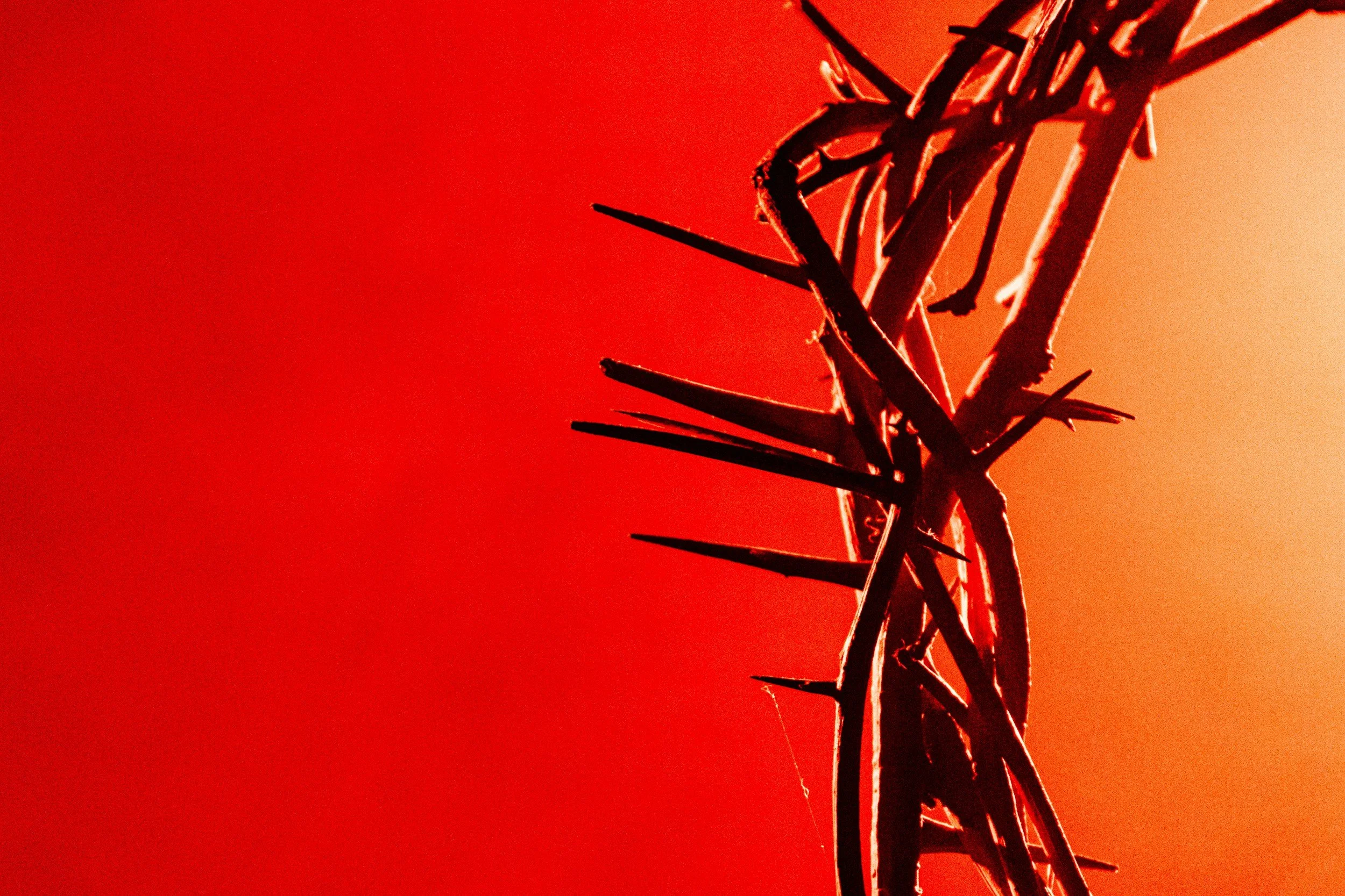 Prayer for the Day: At the Cross (Good Friday)