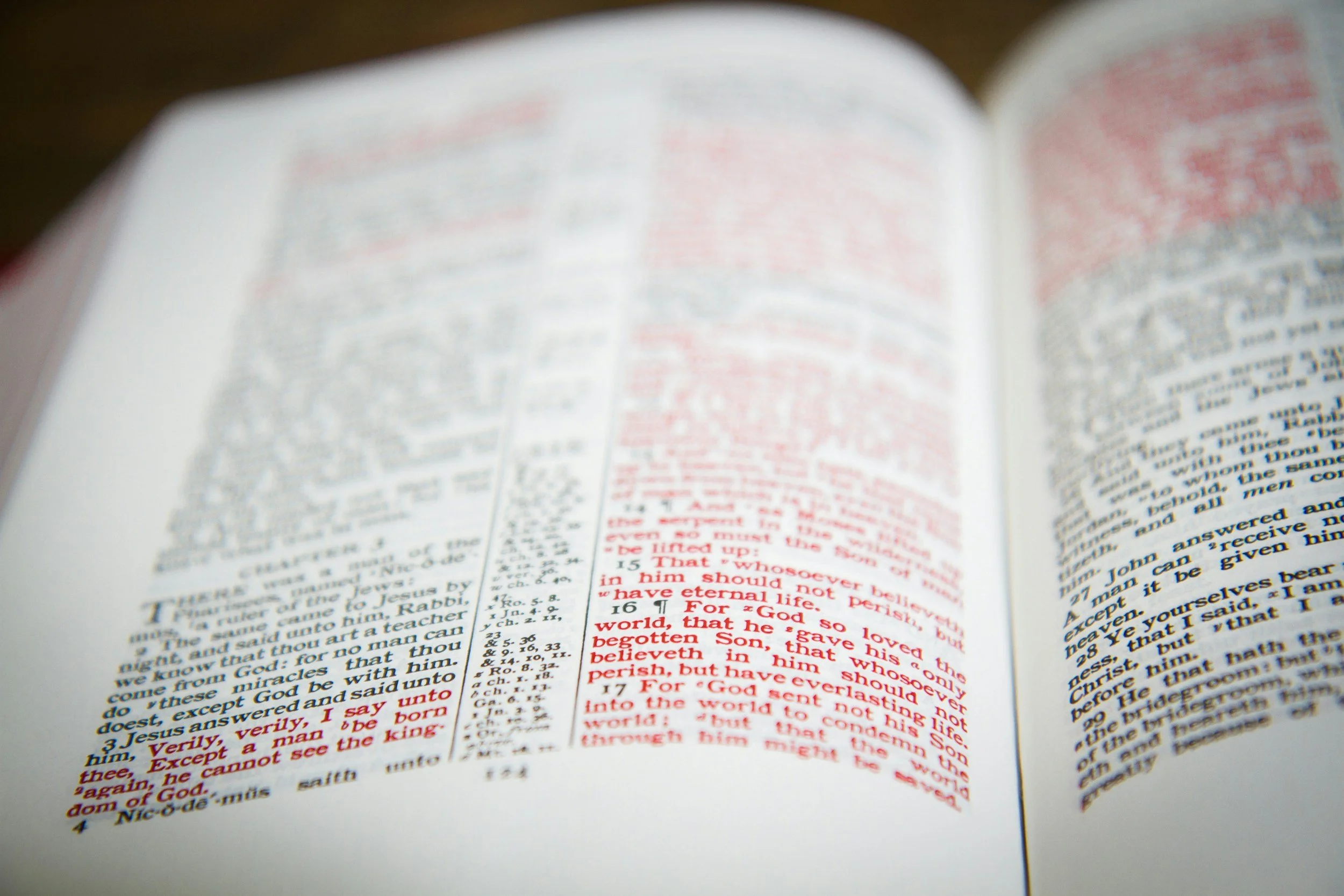How many words of Jesus are in the Bible?