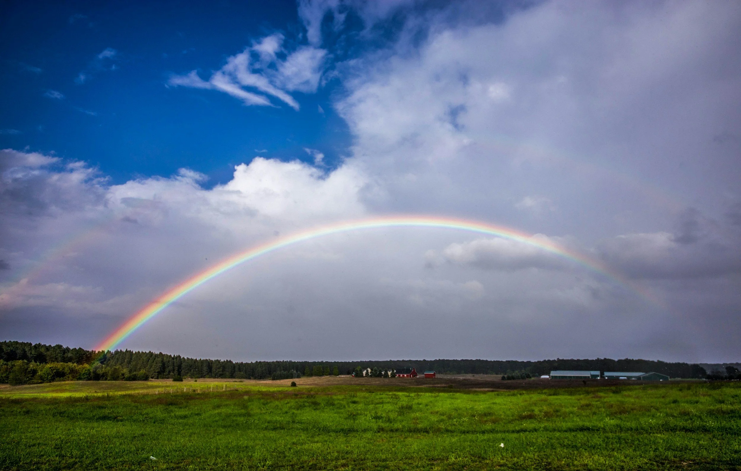 How many promises are in the Bible?