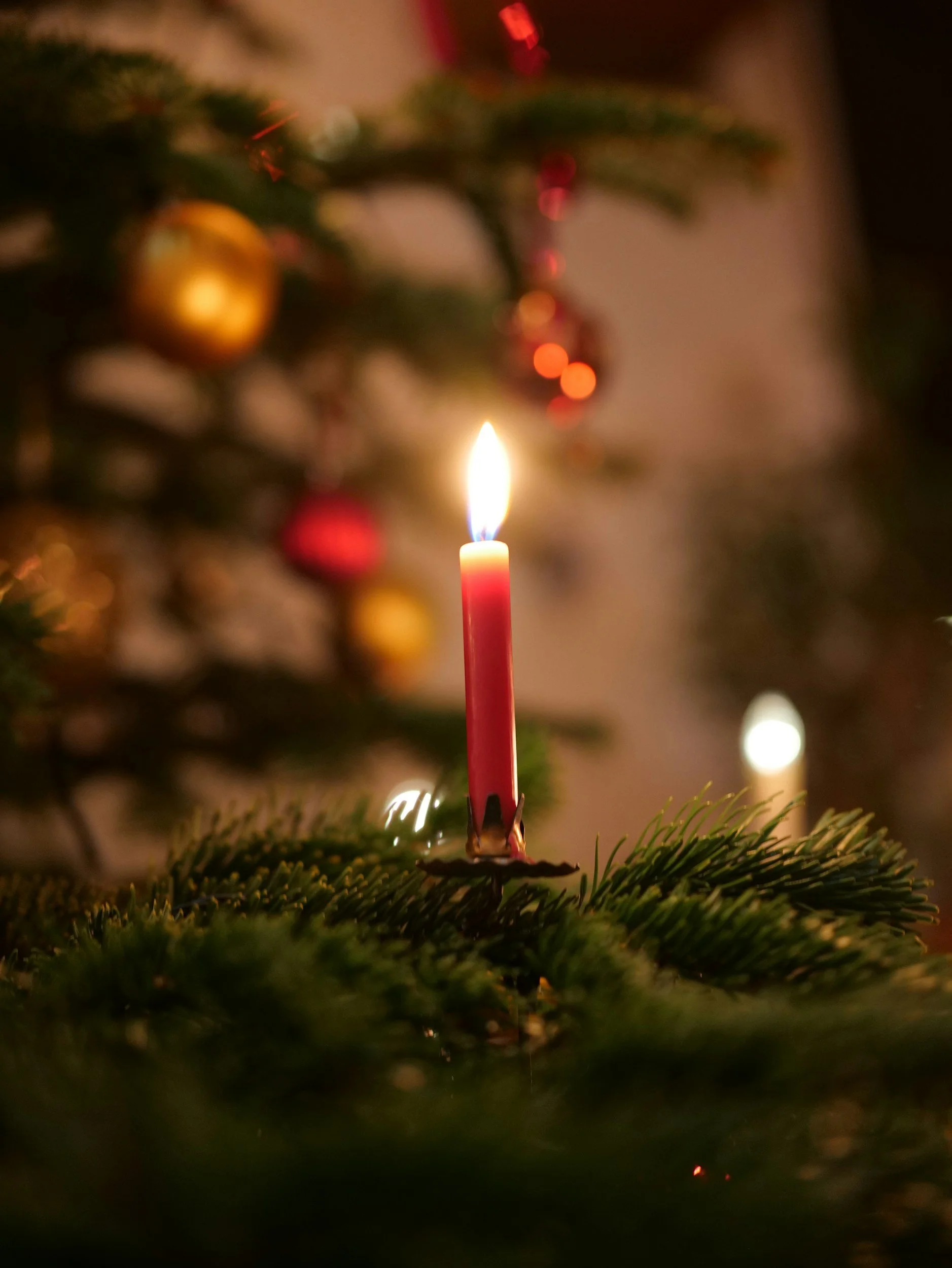 Liturgy for the First Sunday after Christmas Day, Year A (Matthew)