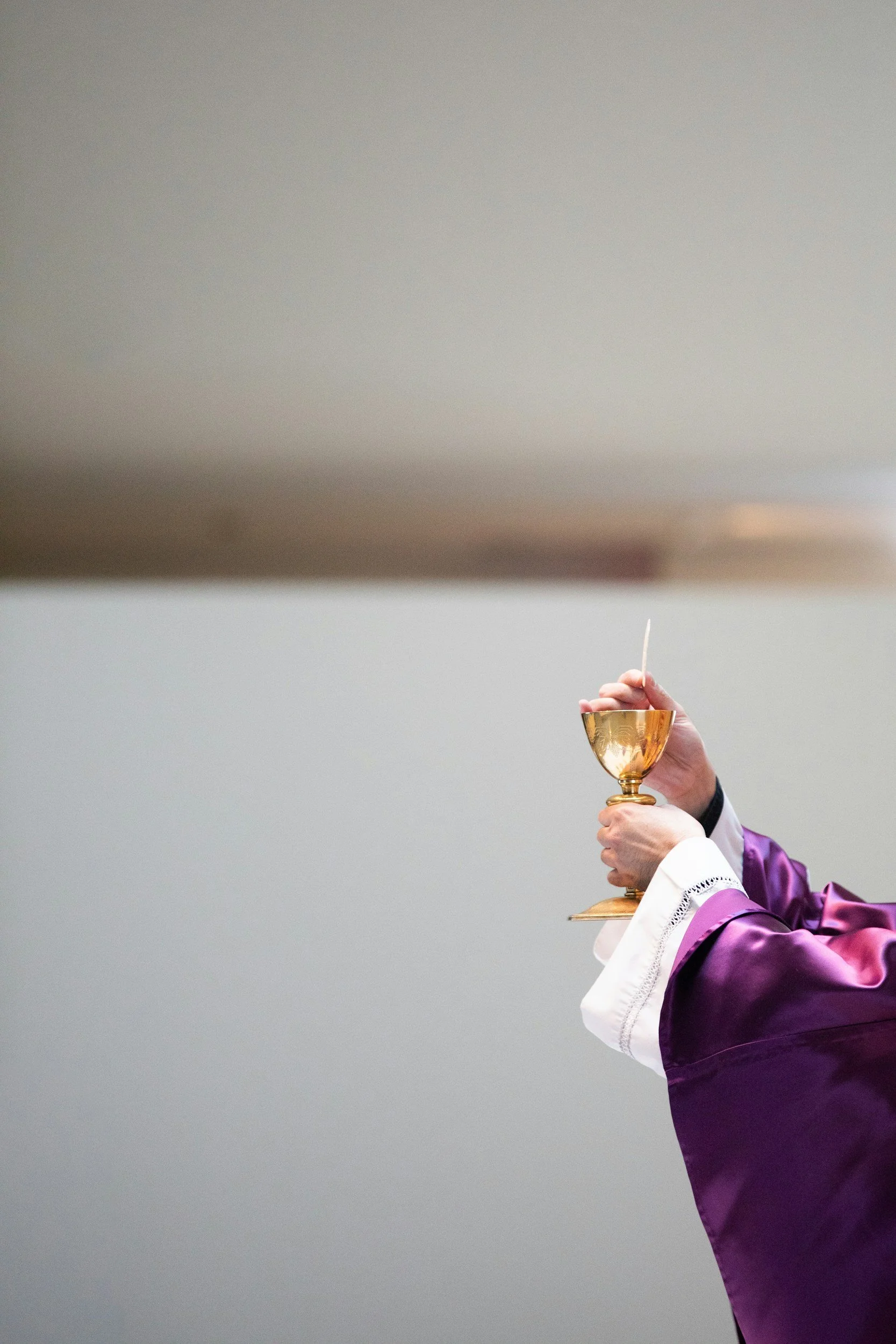 Who Were the Priests and Levites in the Bible?