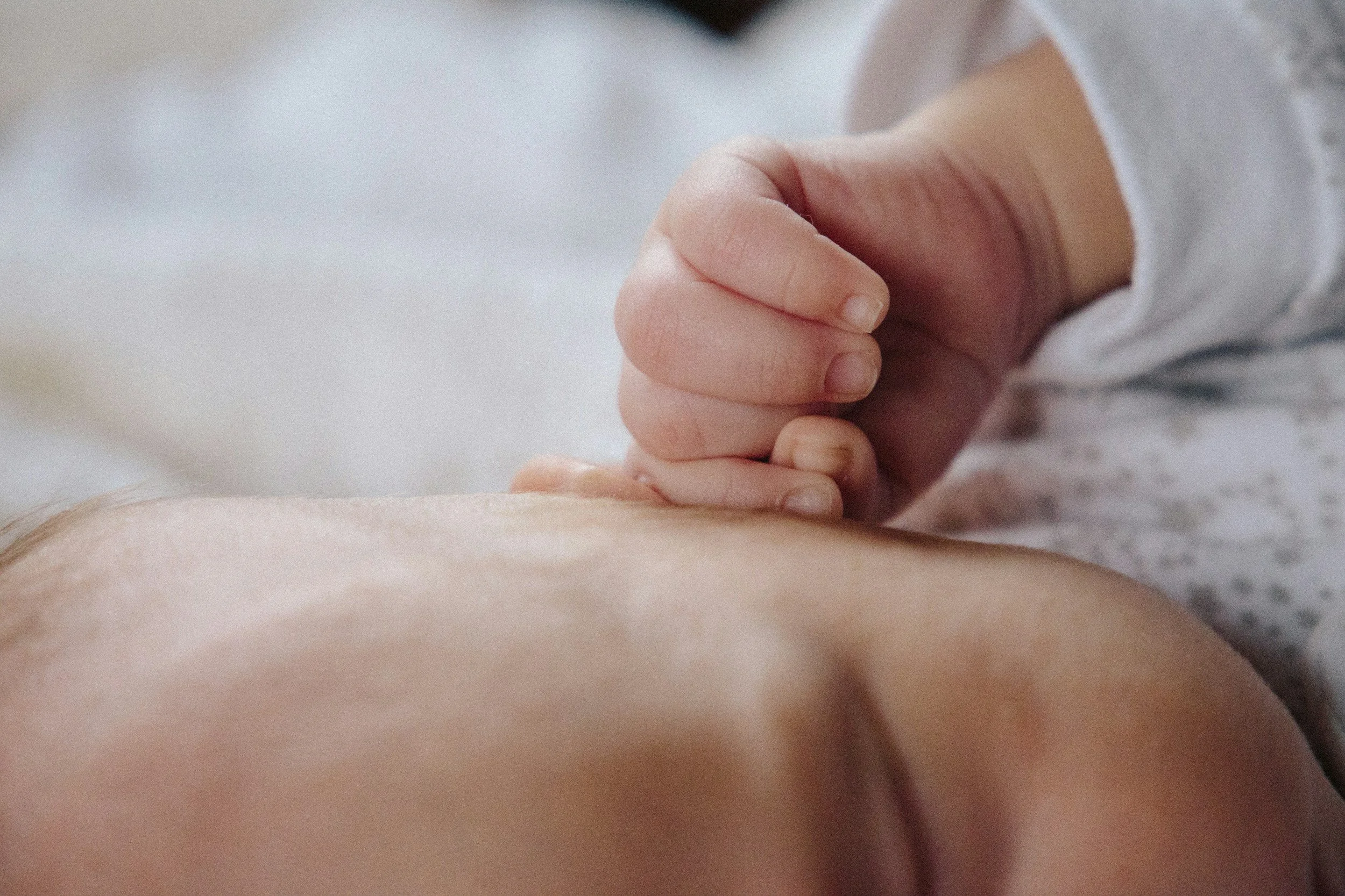 When Was Jesus Born According to the Bible?