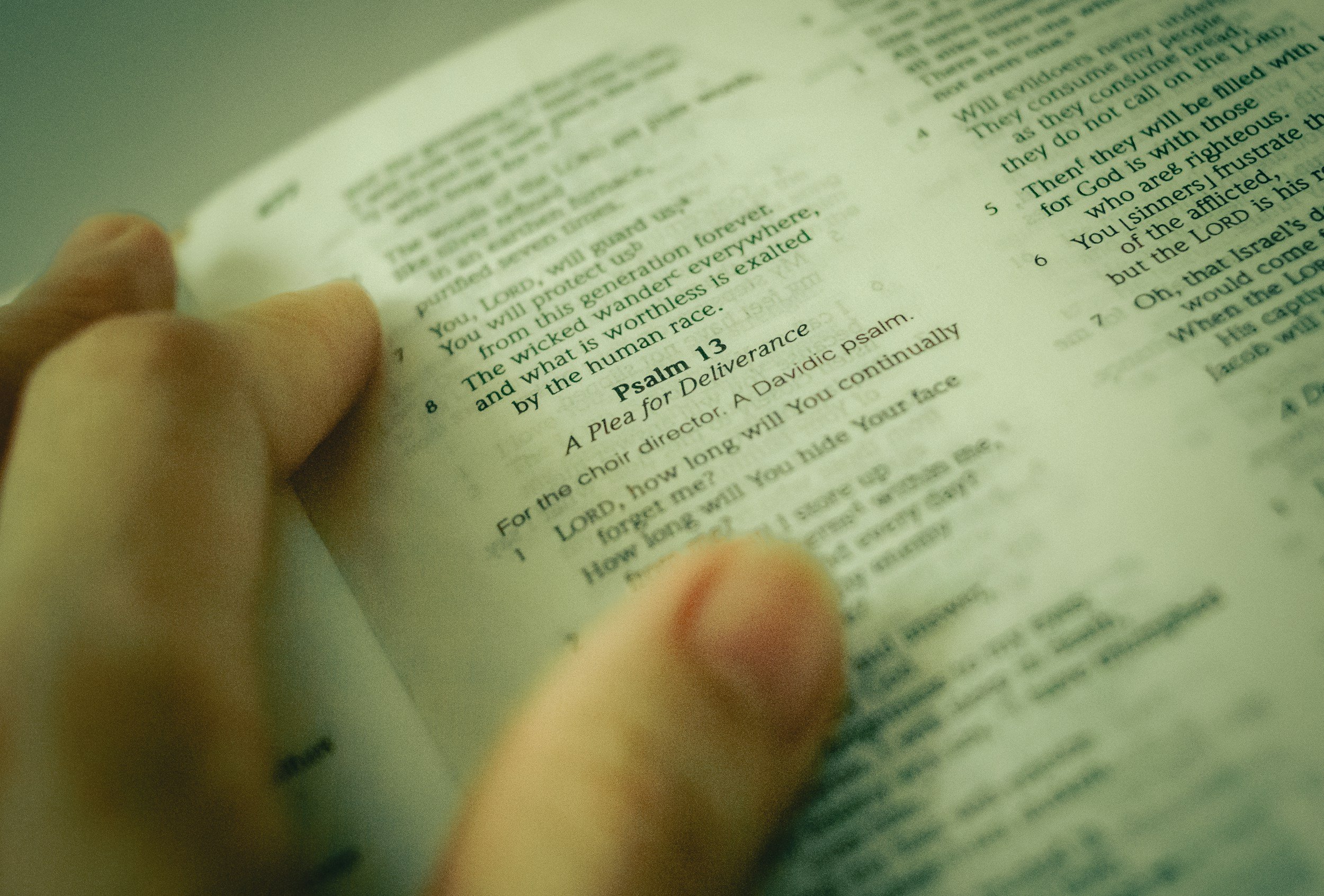 Who Wrote the Book of Psalms?