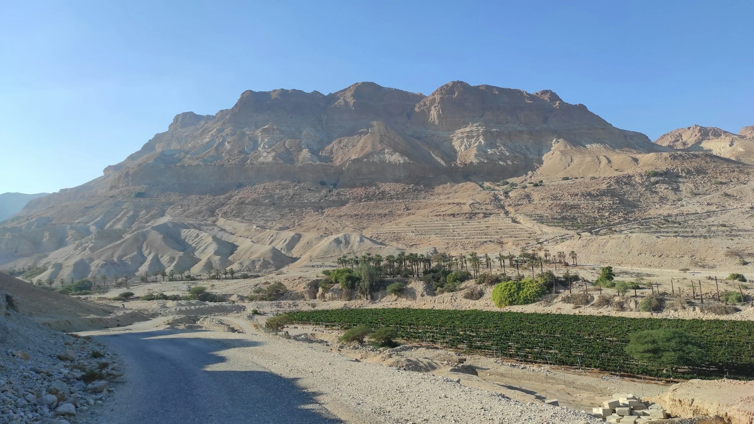 Acts 7:9-16 Joseph and the Pattern of Rejected Deliverers