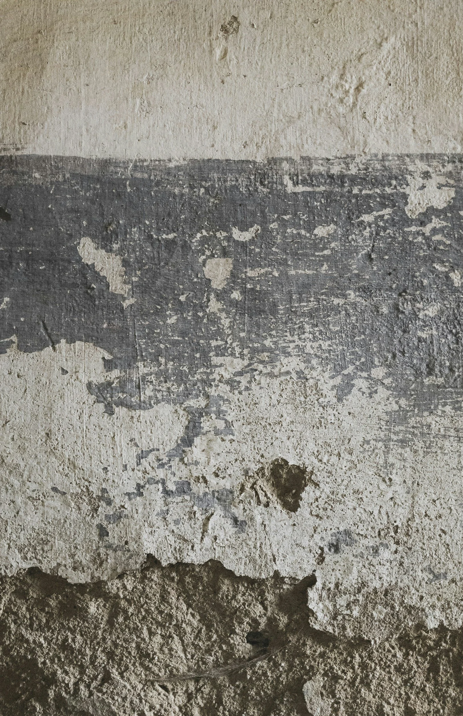 Who Was Elisha in the Bible?