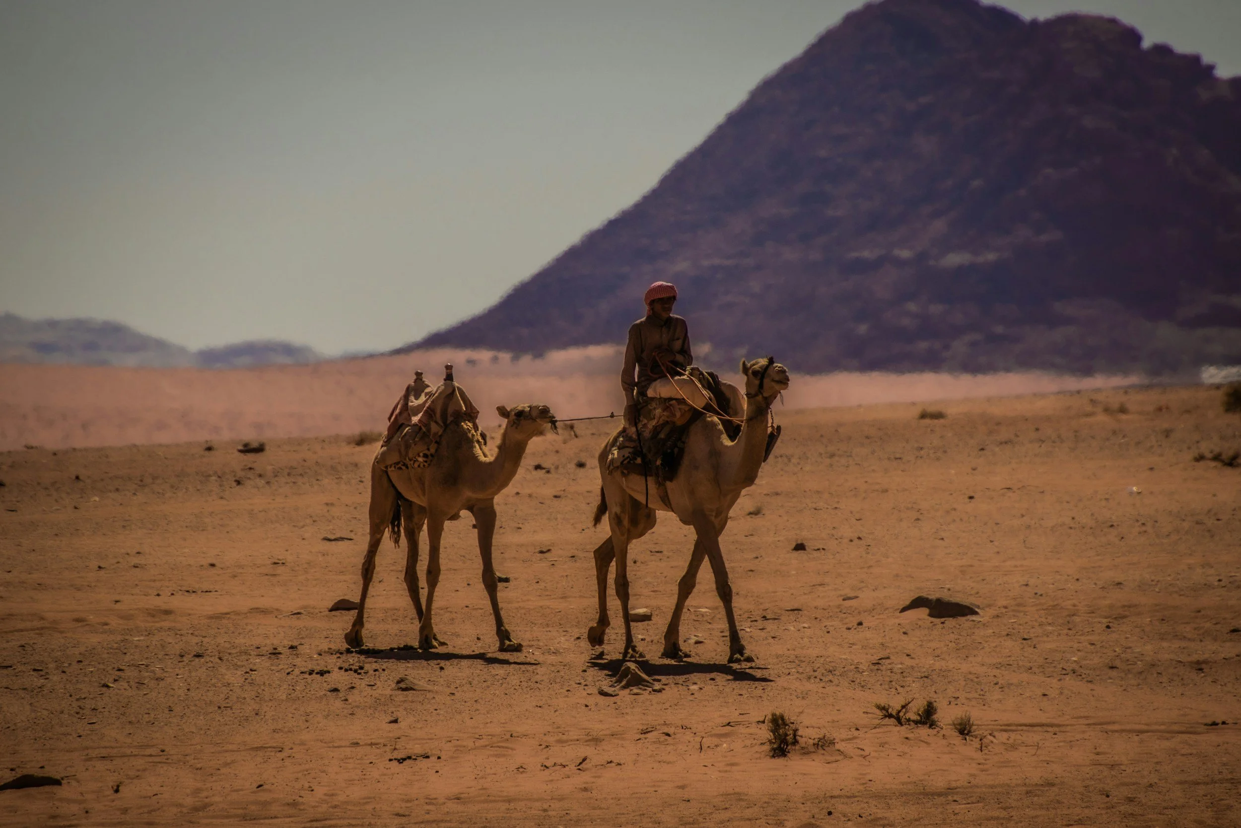 Who Was Jethro in the Bible?