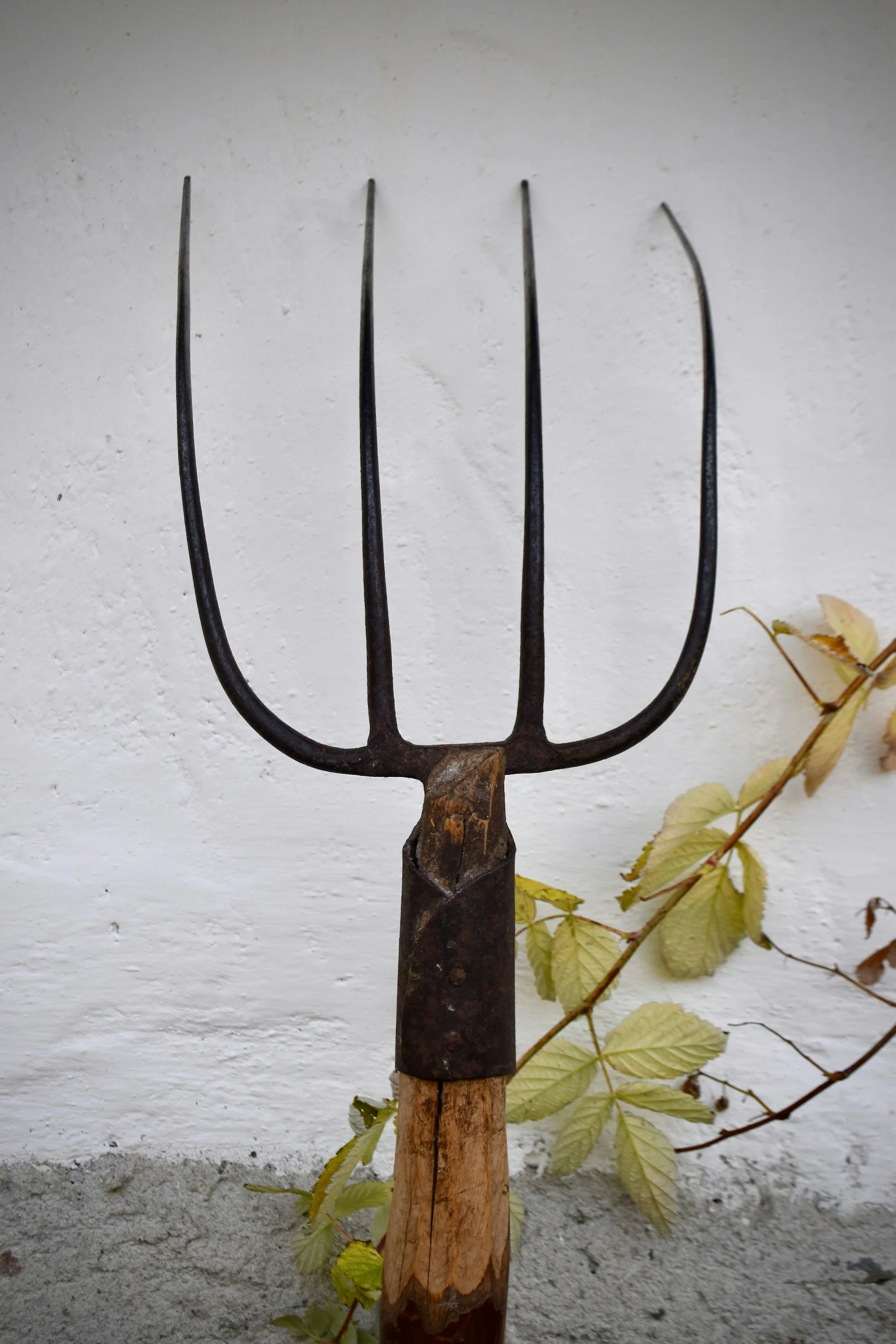 Acts 21:27–36 Paul Arrested in the Temple