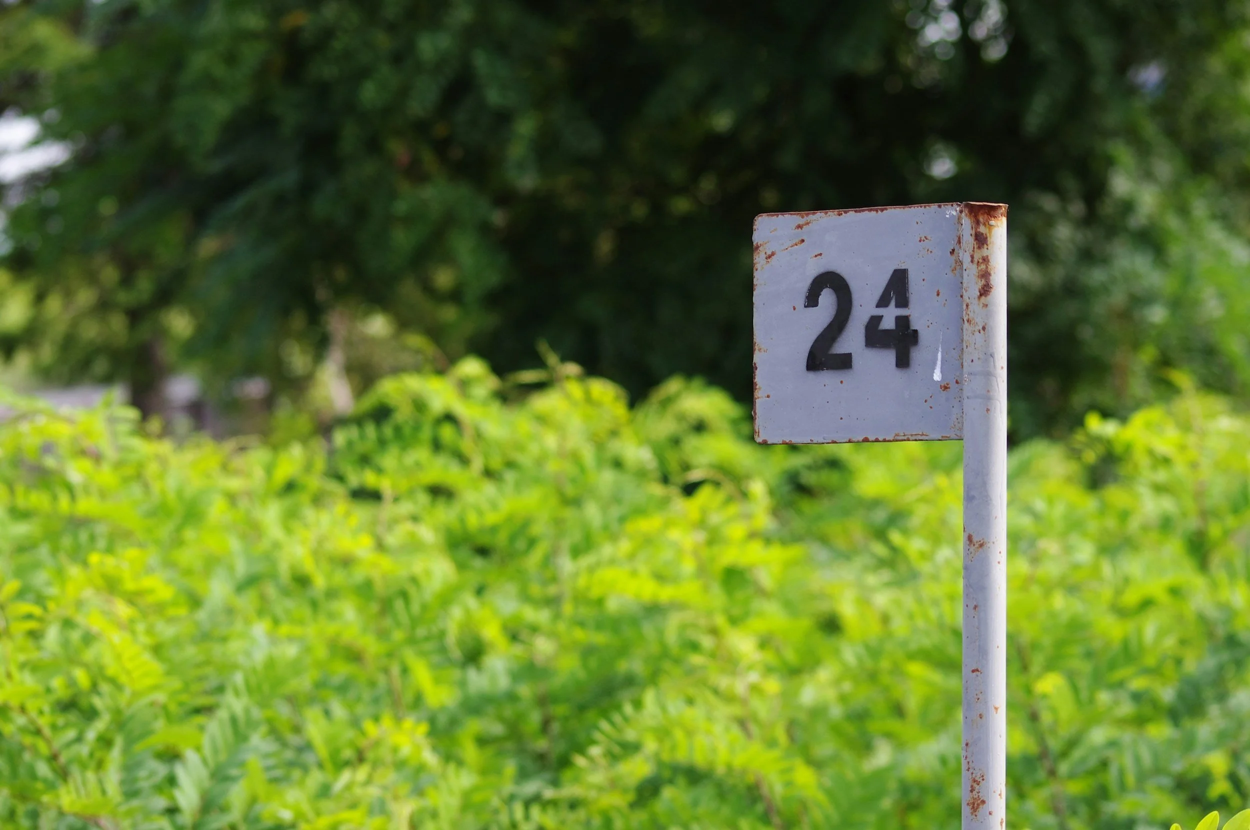 Acts 24 Outline Summary and Meaning